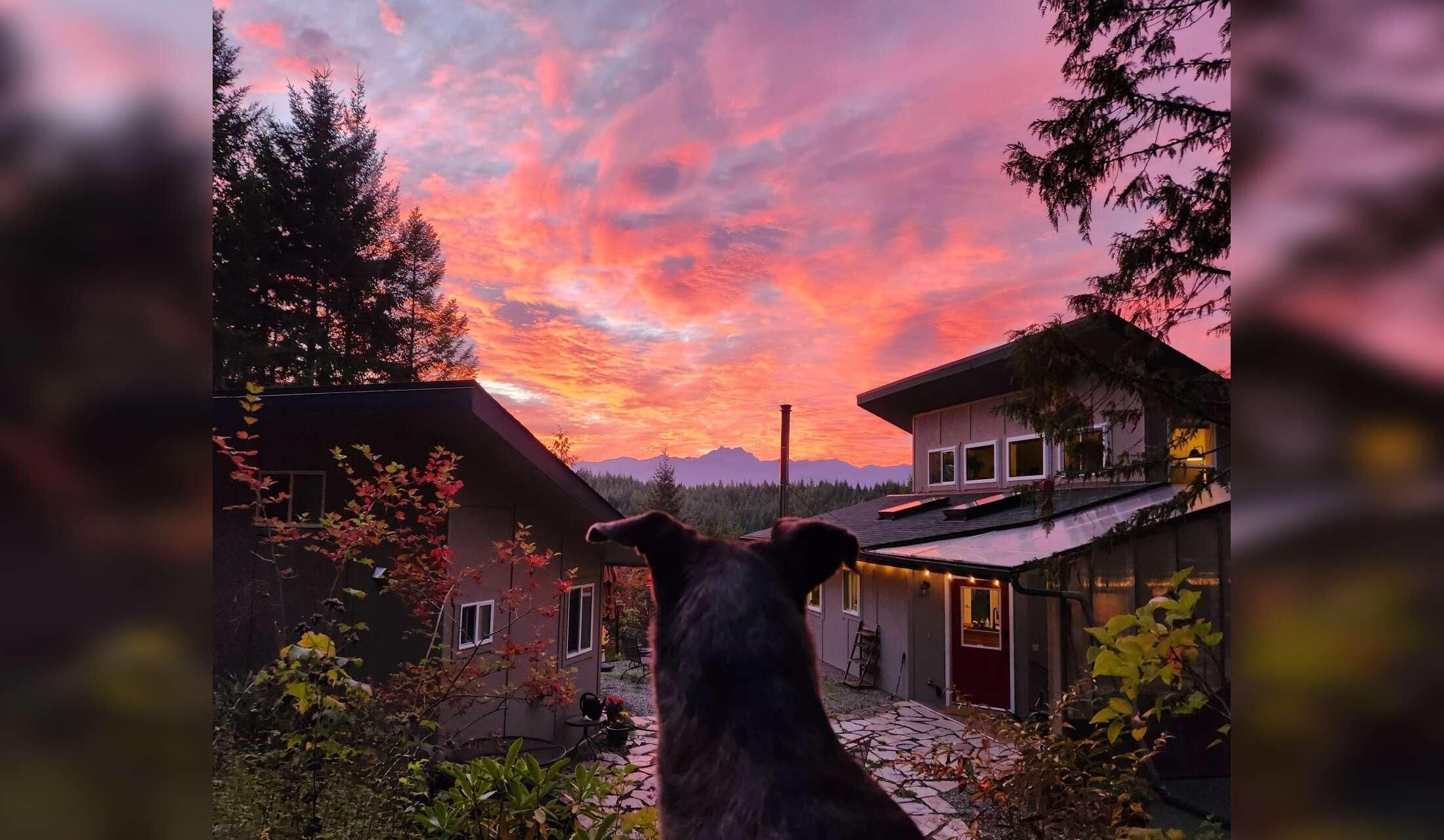 Forest retreat with a view. Flexible dates!