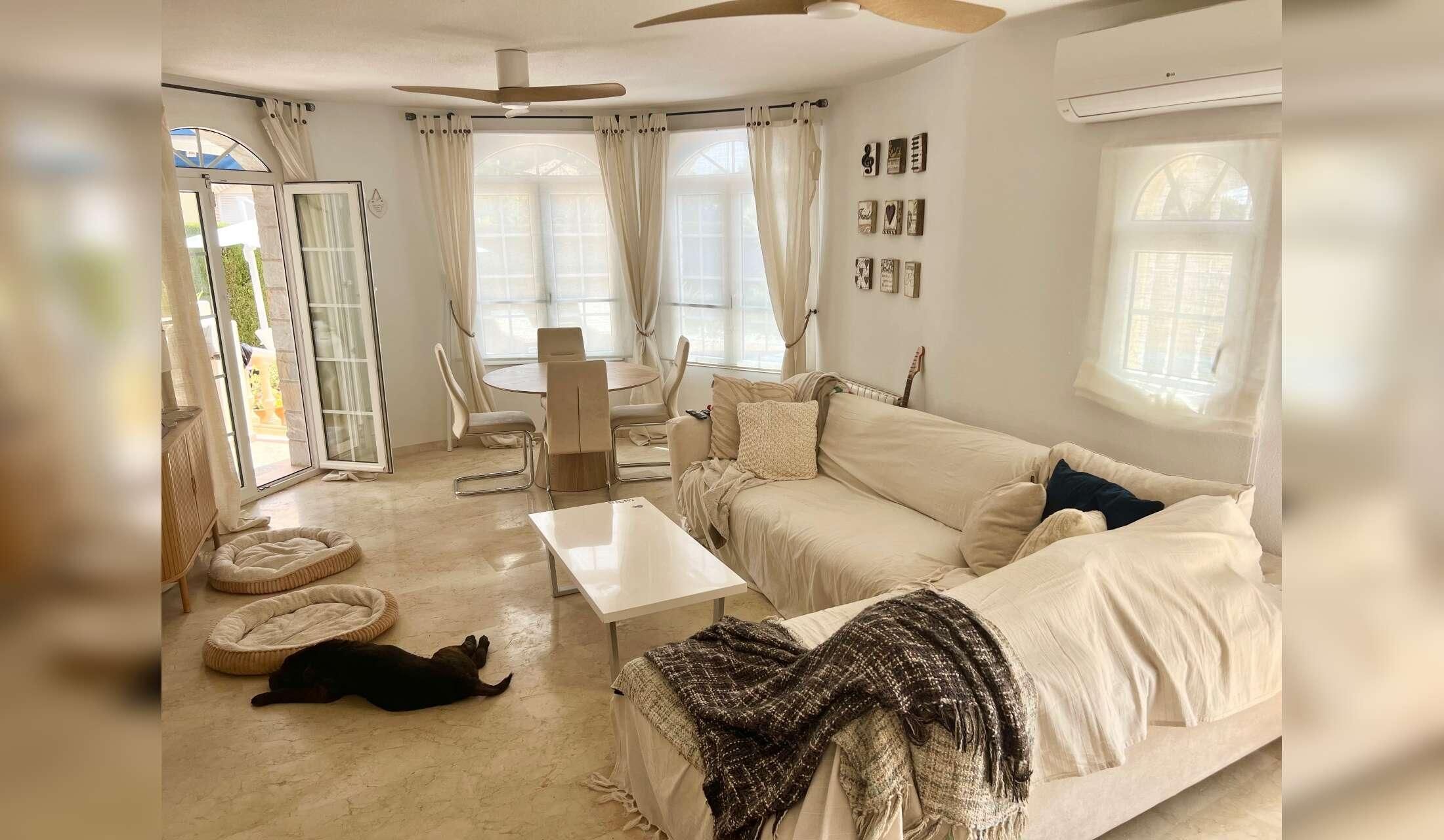 Bella and Honey seek kind and caring couple to take care of them and their lovely home in Spain - Image 2