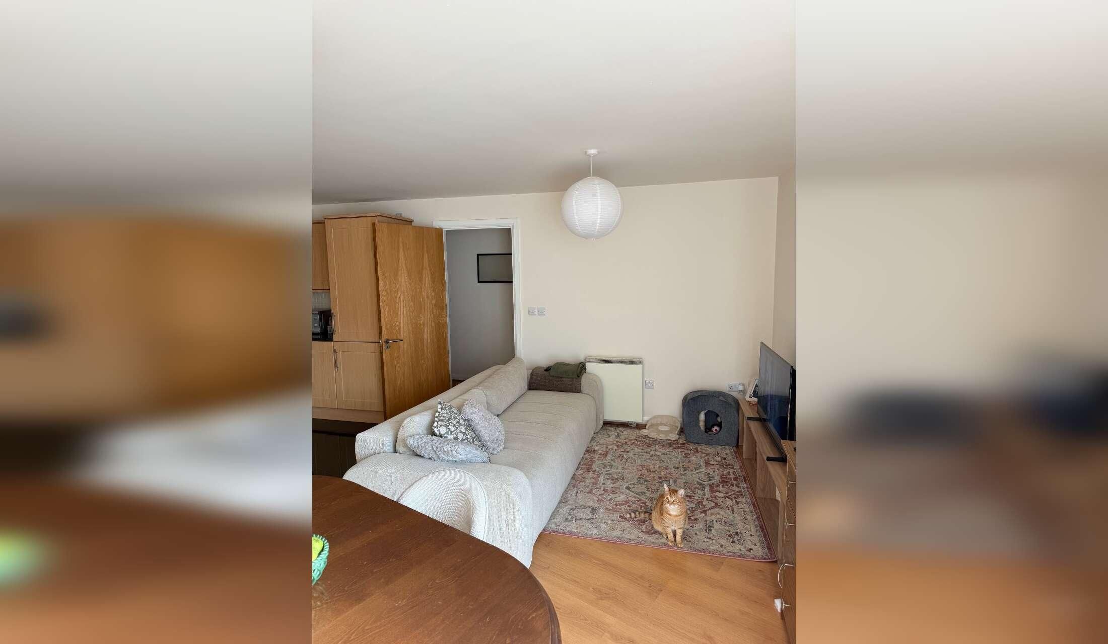 Cosy apartment in Fairview (D3) + 2 super friendly cats looking for a sitter - Image 8