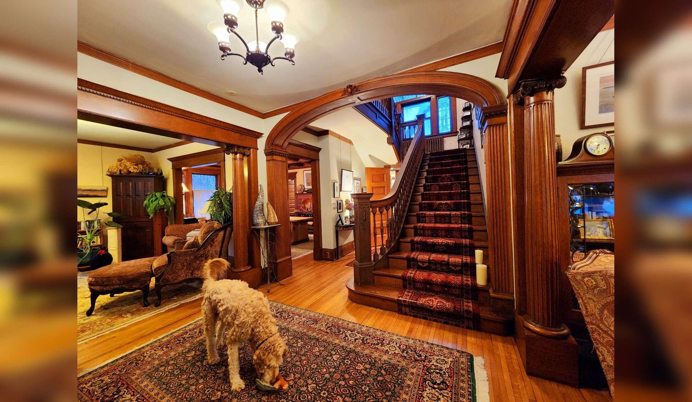 Victorian home with pets in quiet, leafy neighborhood in the city - Image 3