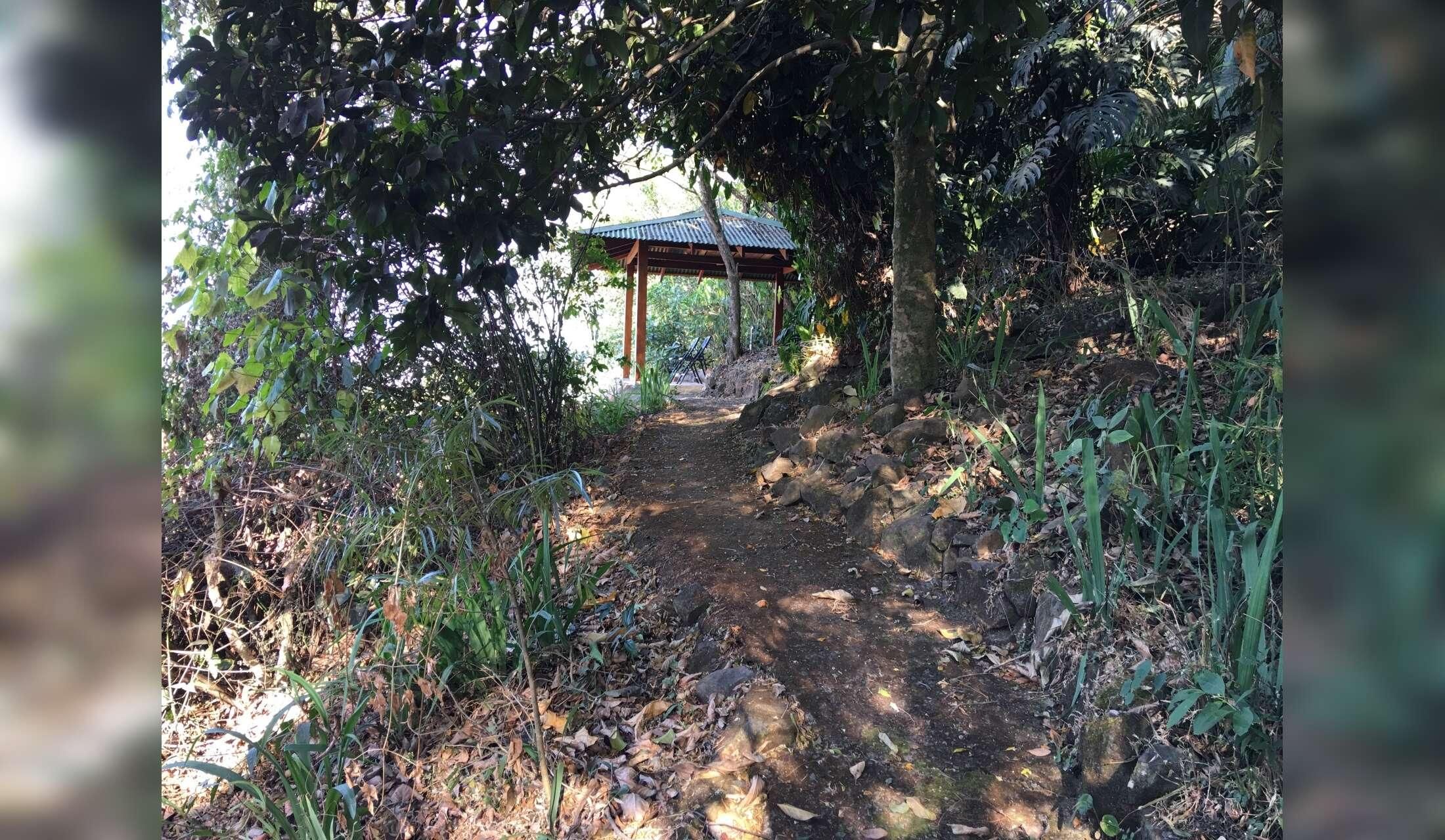 Looking for trustworthy caring and responsible single or couple to look after our house and garden in Costa Rica - Image 9