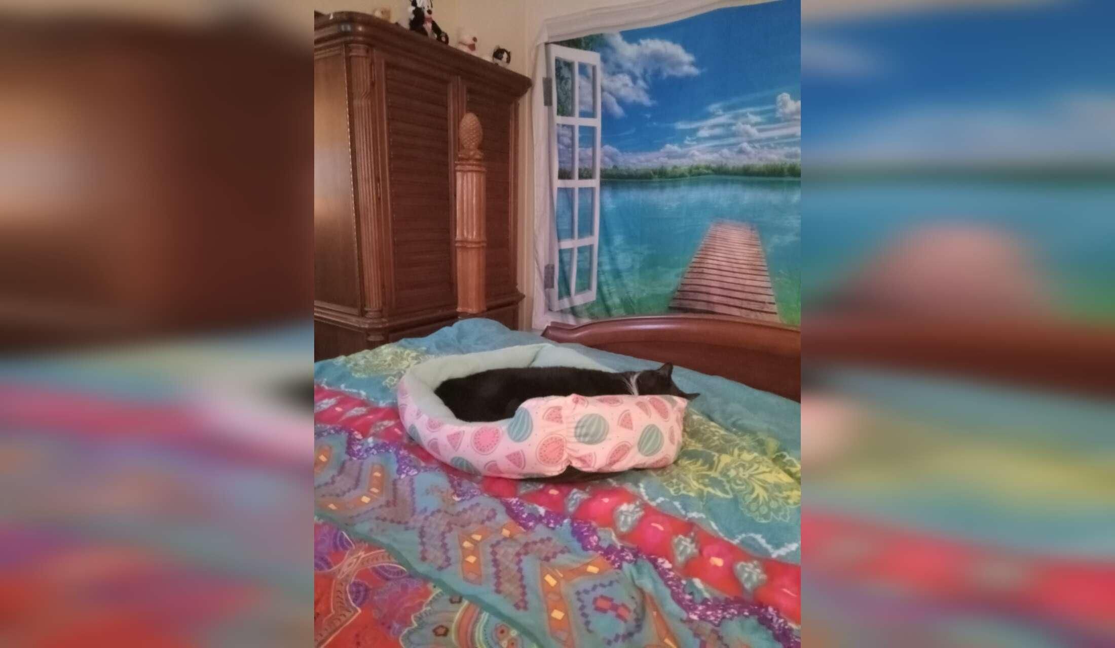 Come be my guest - Image 6