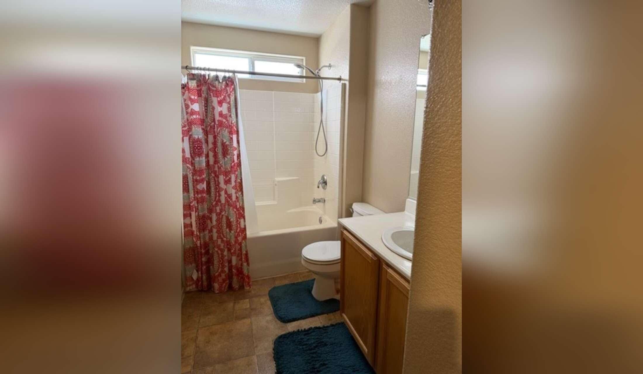 Quiet comfortable house sitter - Image 3