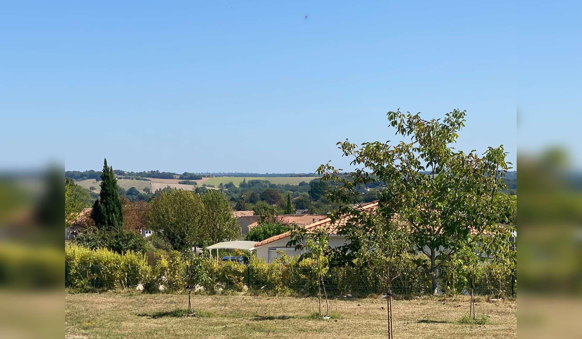 Cat lover needed in the beautiful Charente with lovely views!, - Image 10