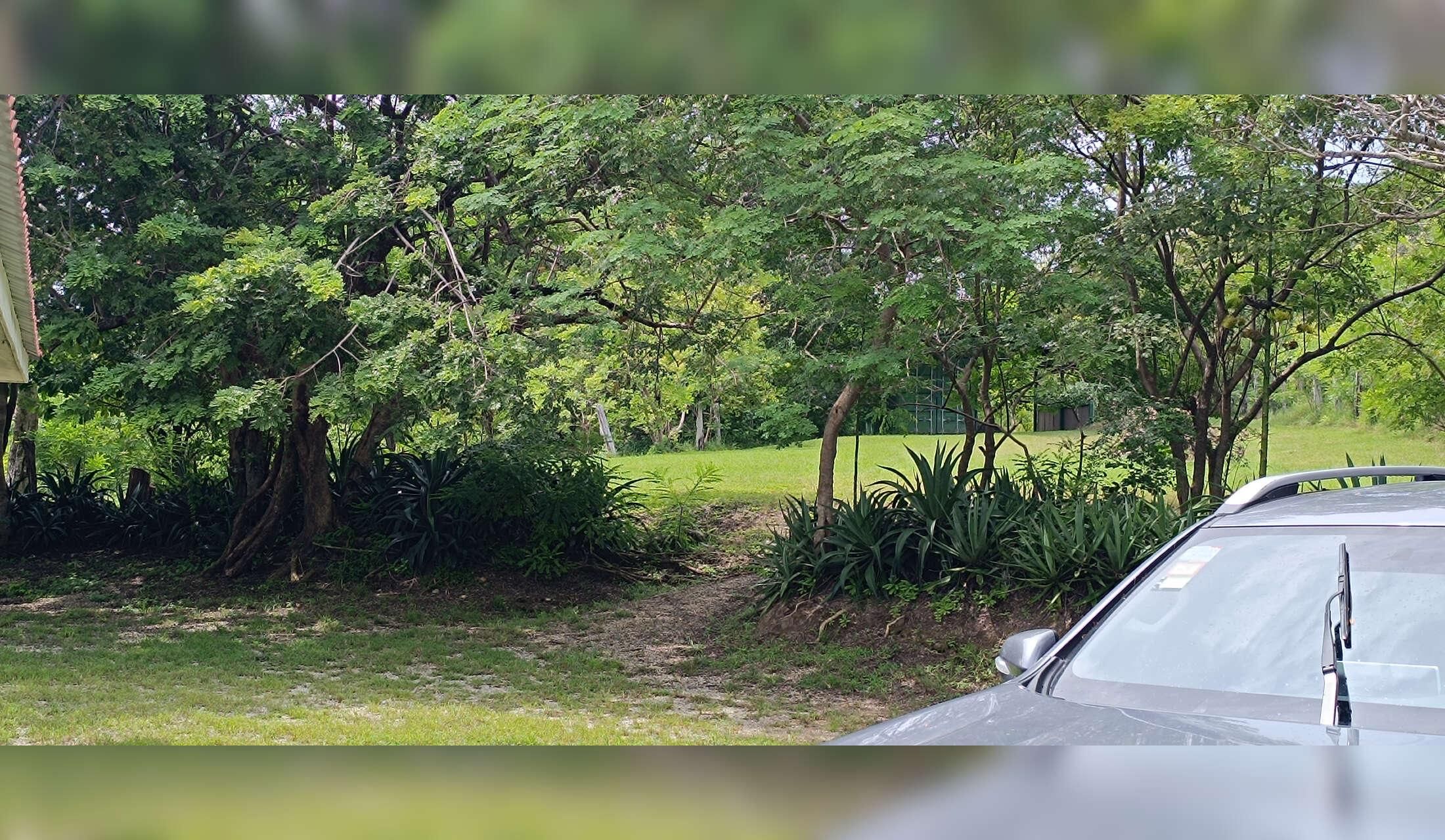 House in a finca surrounded by wild animals - Image 4