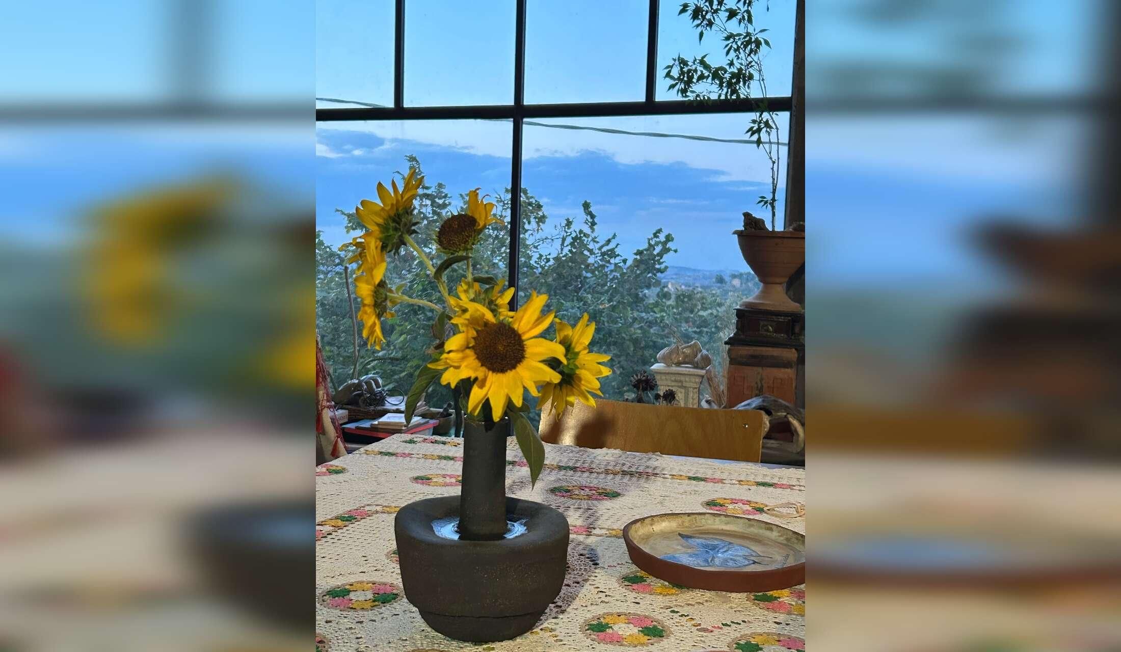 Pet sitting for dogs, cats and chicken in my wild country house - Image 6