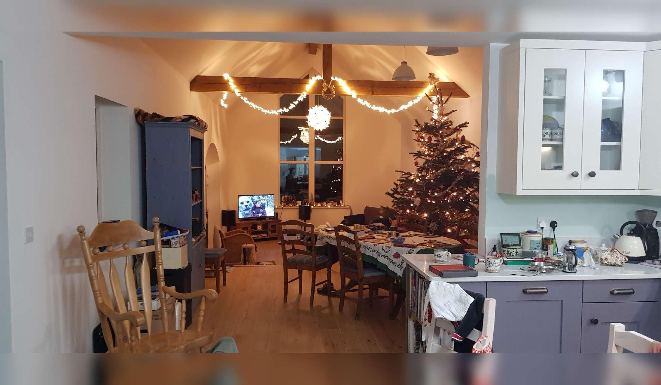 Beautiful Quiet, Rural, Multi-Animal Pet Sit Over Christmas in South Kilkenny - Image 4