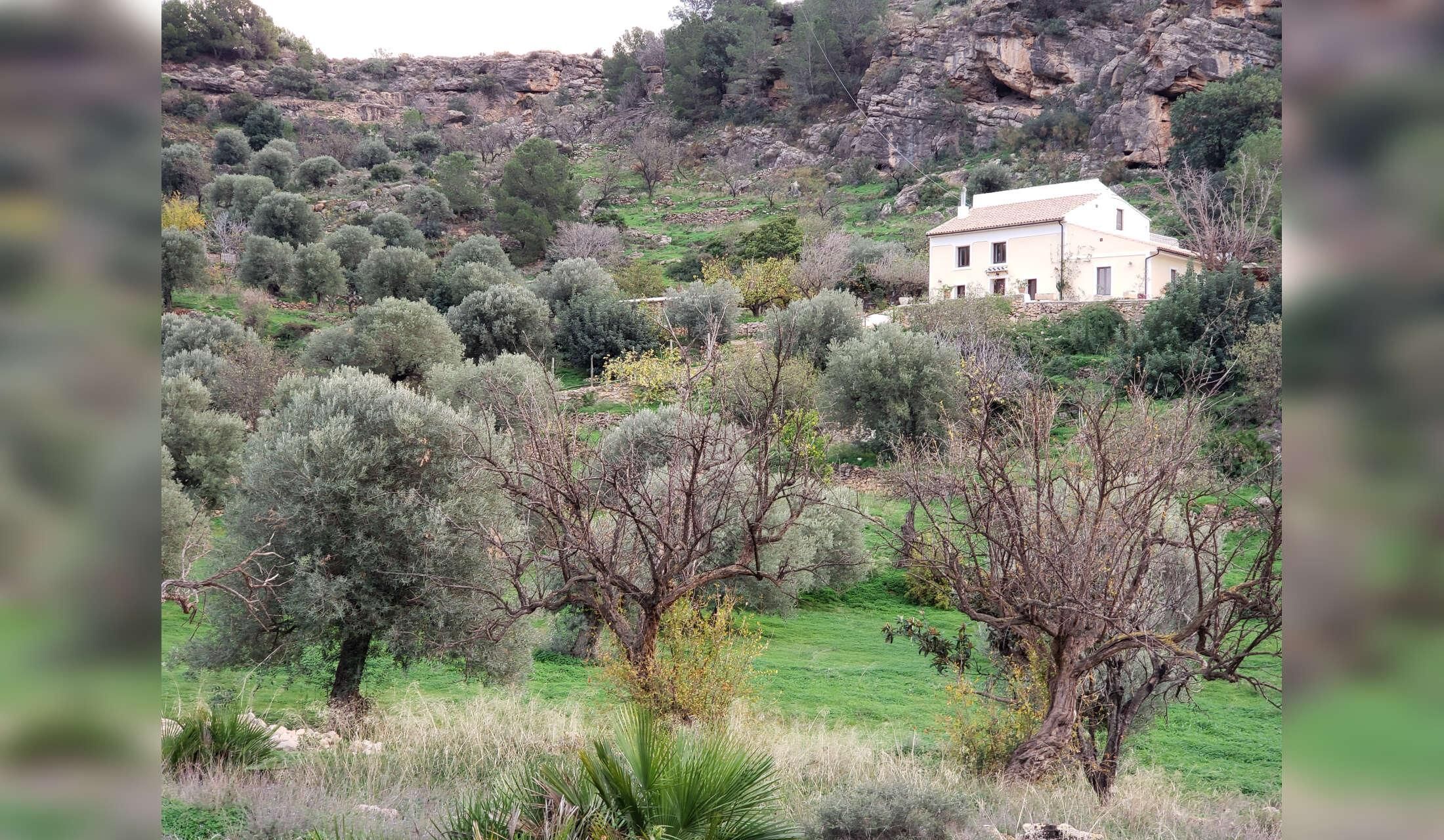 Country house in Andalusia - animal lovers only