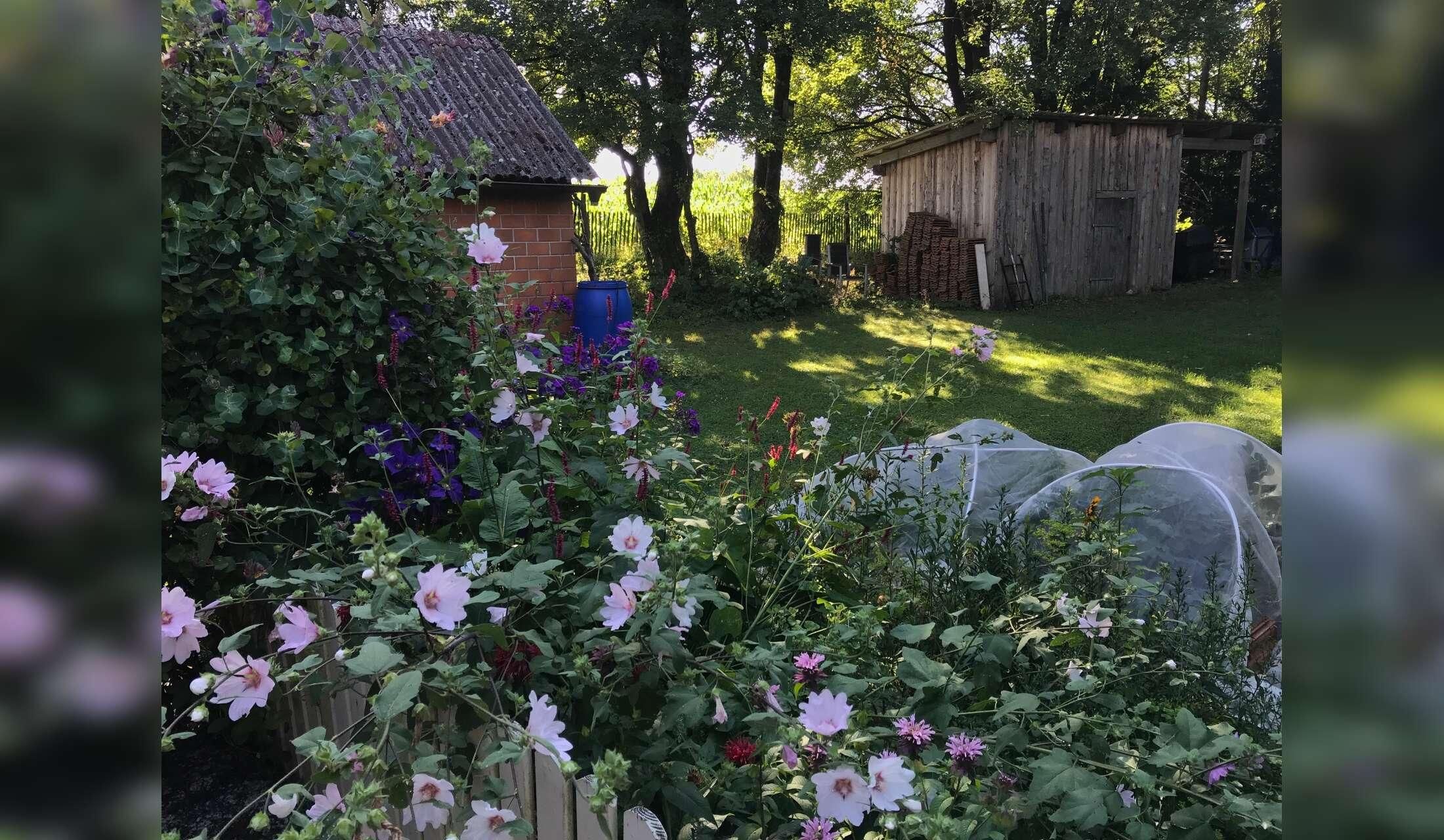 Bavarian hideaway with ponies - Image 3