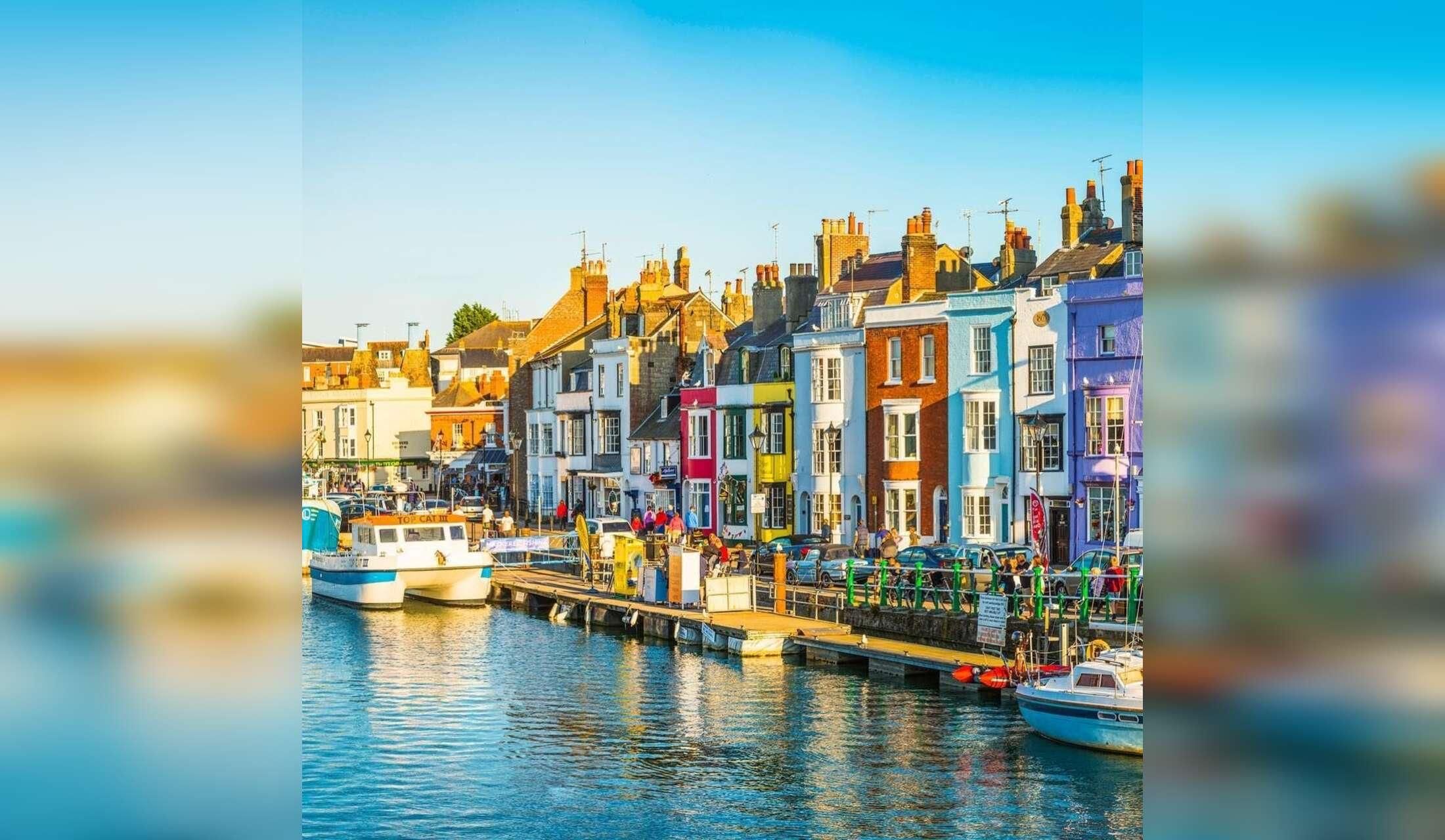 Sitter needed  for looking after 1 soppy cat, April 10-17,in the seaside town of Weymouth - Image 4