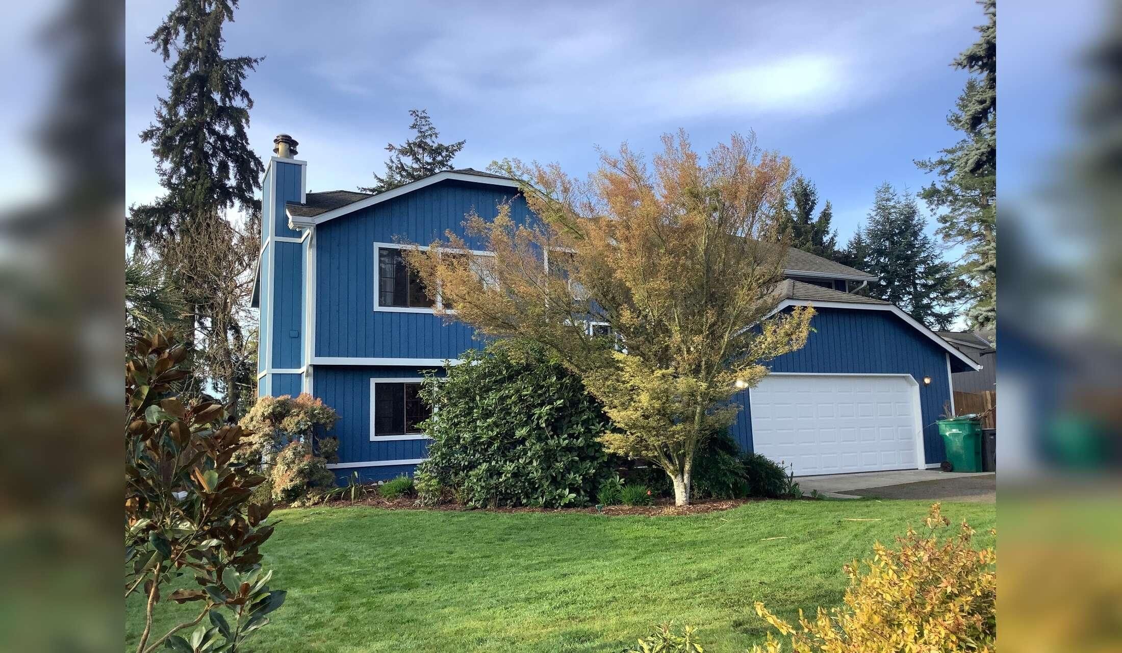 Quiet neighborhood in Seattle-area suburbs with one small dog - Image 2