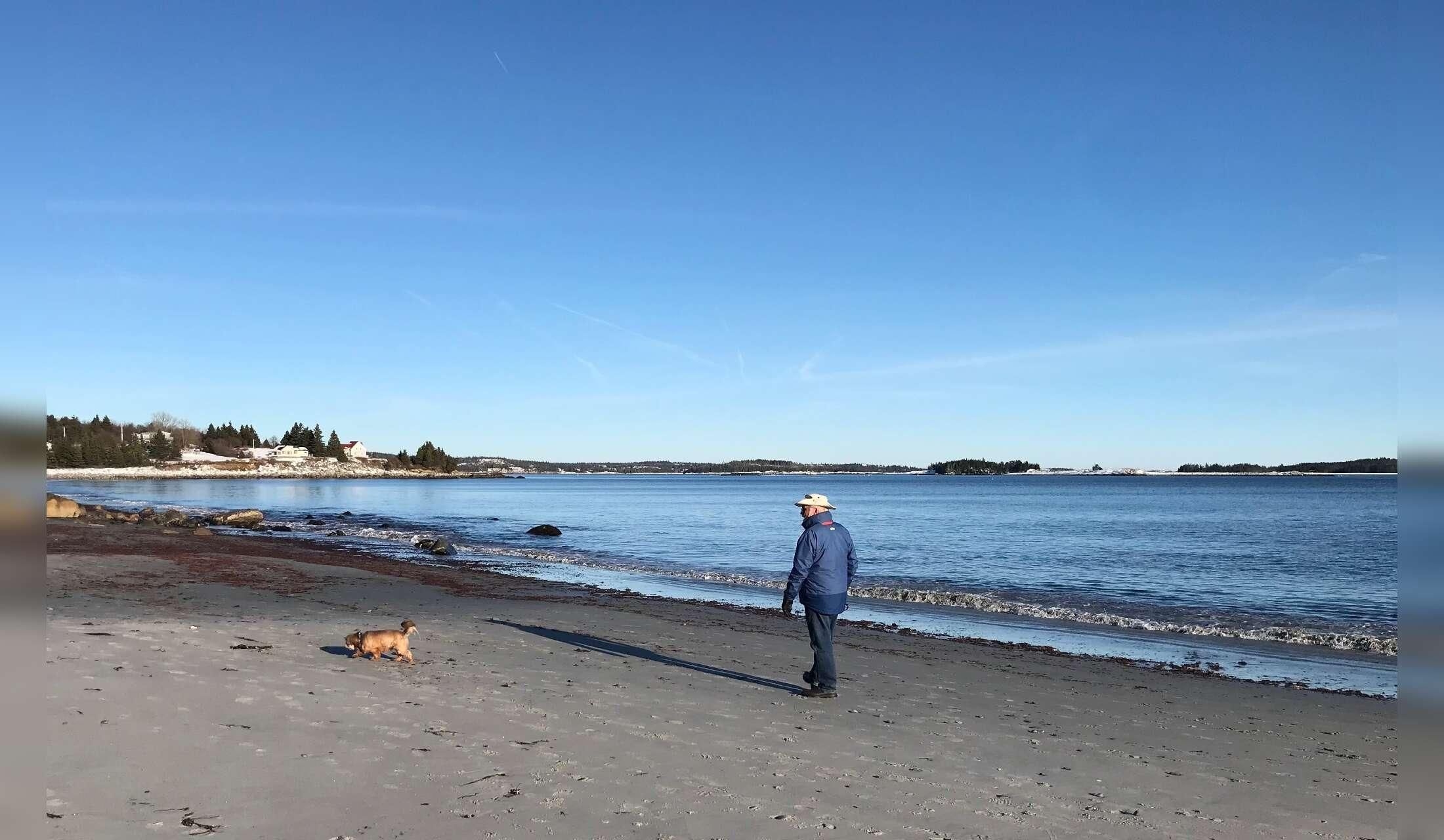 Looking for a Dog Sitter in a  Seaside Community for 2 weeks. (Dates are flexible) - Image 3