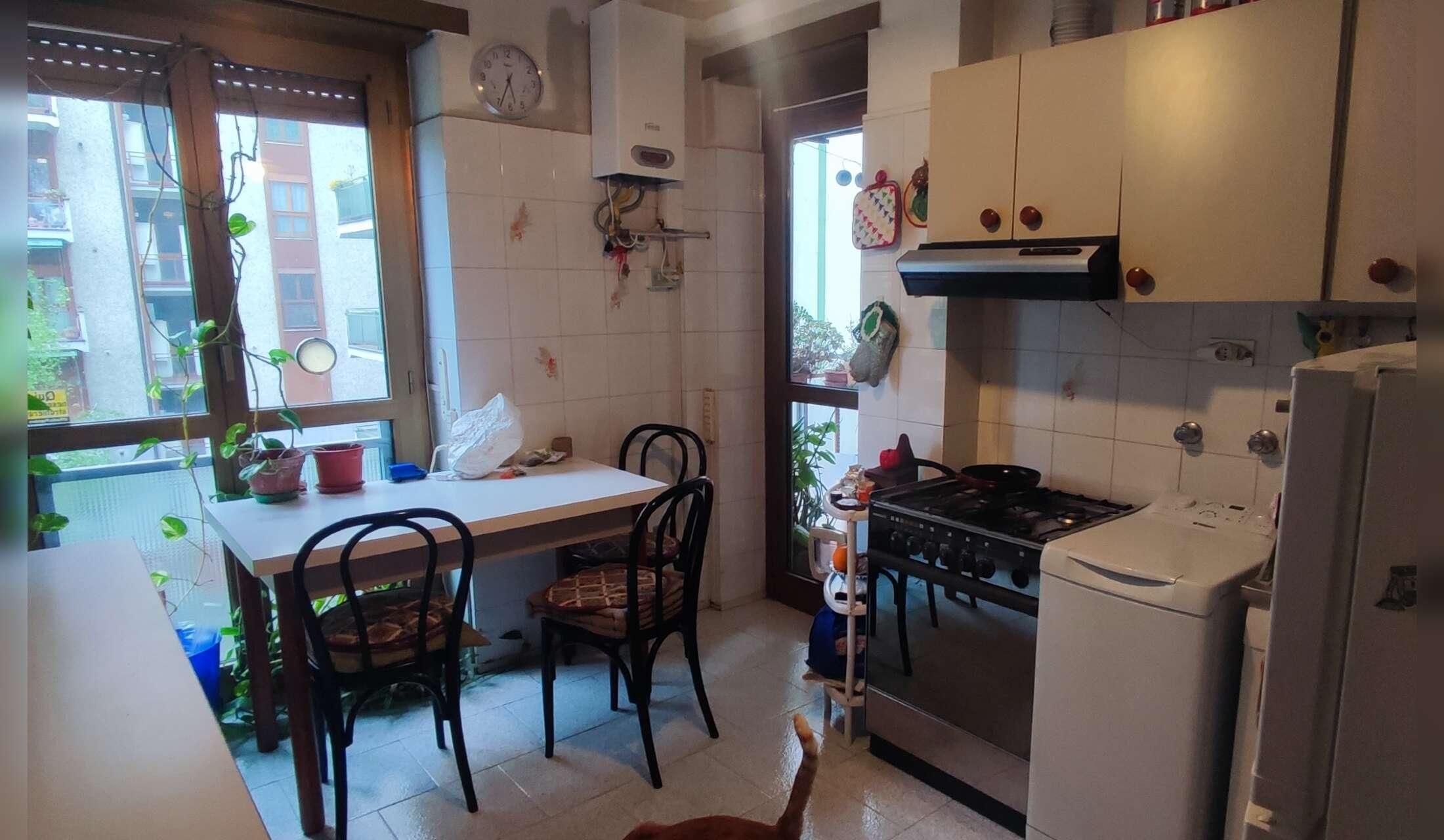 House sit in Italy, Milan area for two sweet cats - Image 6