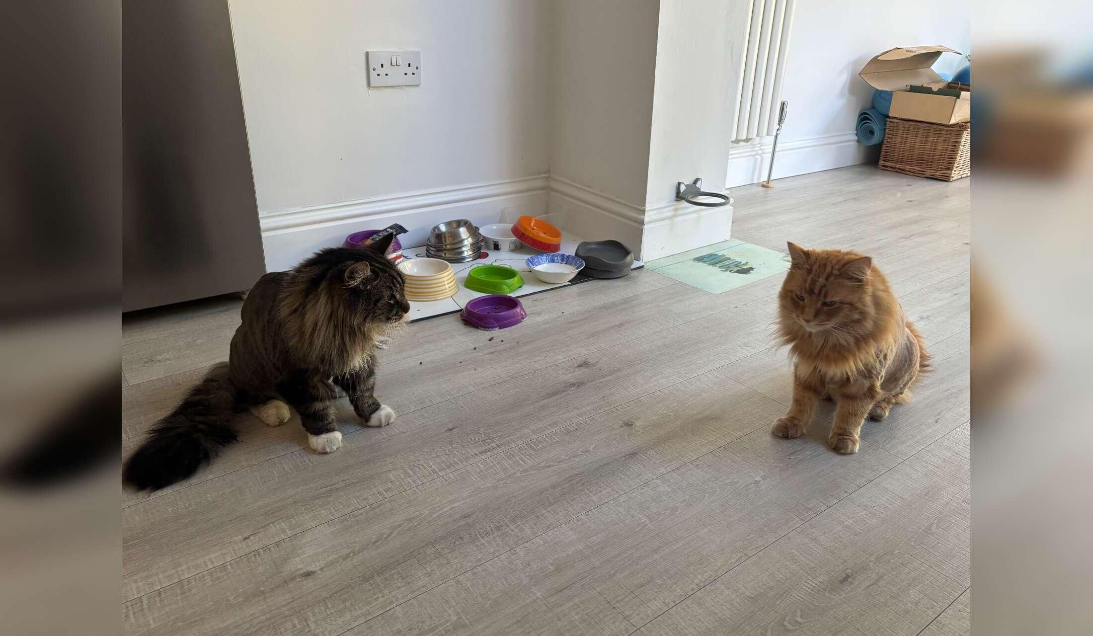 Weekend sit first timers