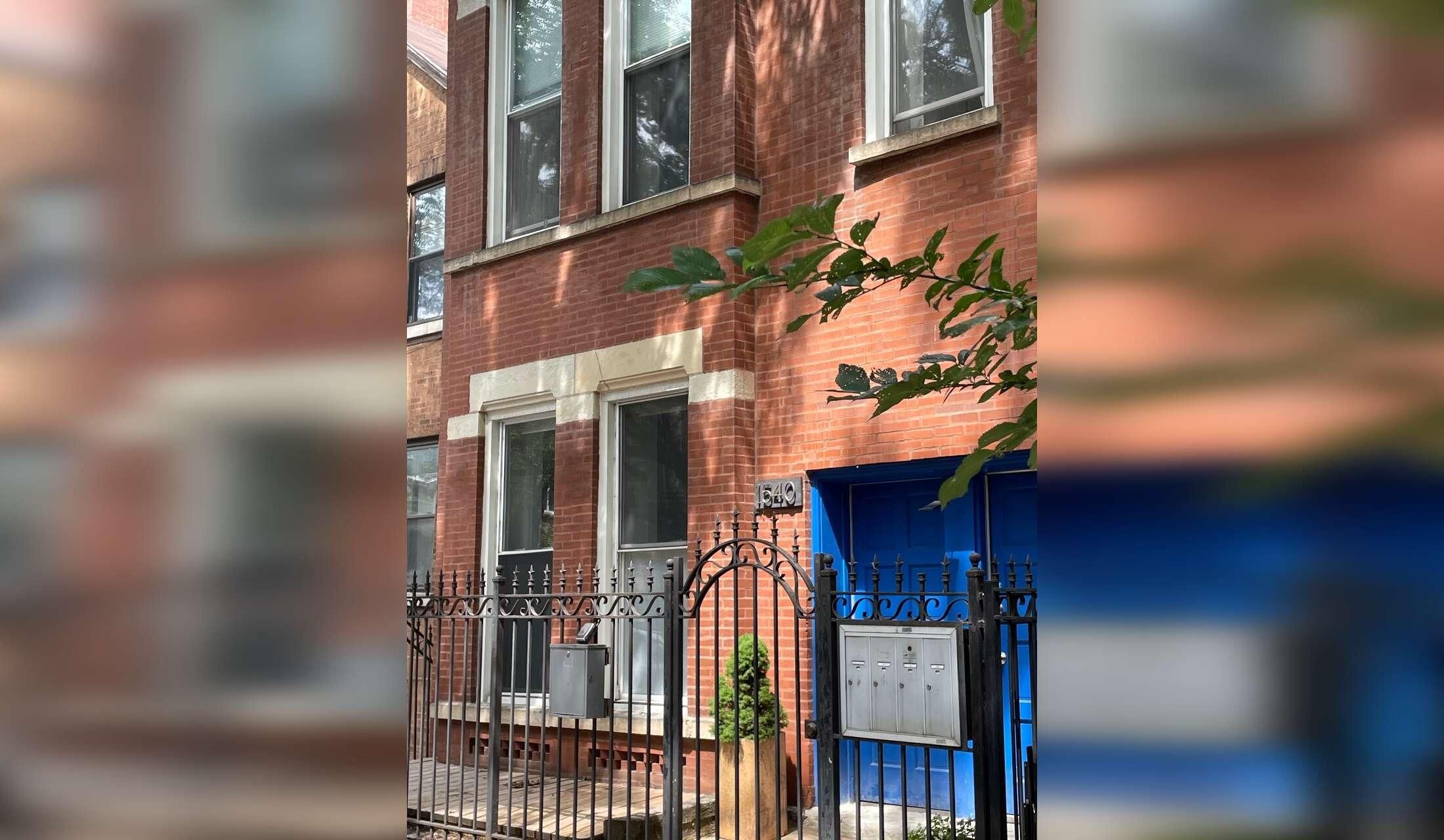 Cat sitting in a popular area of Chicago close to the loop