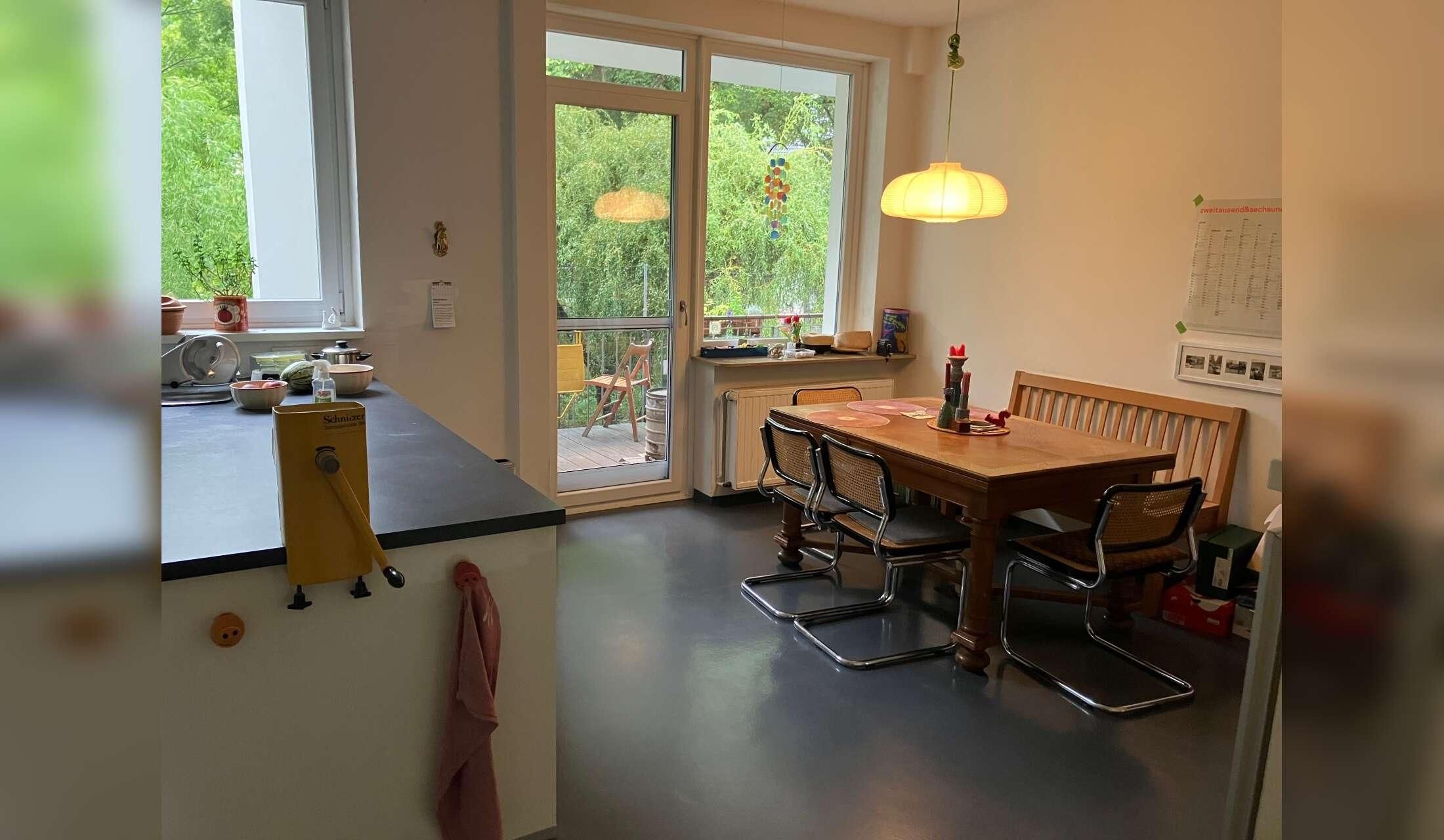 Three friendly indoor cats in spacious flat in Germany - Image 3