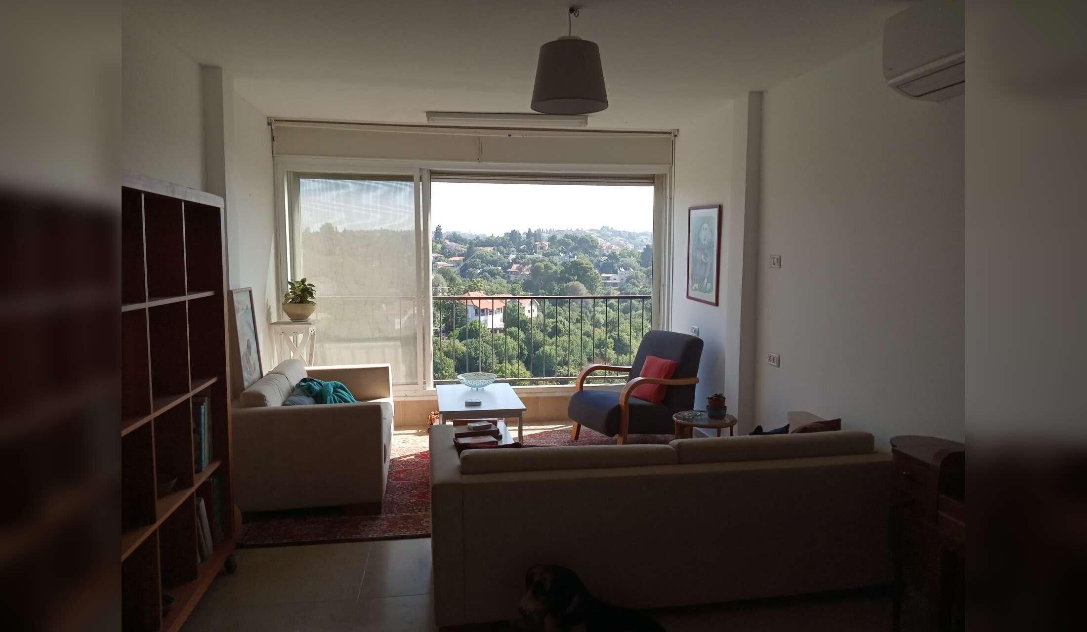 Two Weeks in the Haifa Area with a Sweet Dog - Image 9