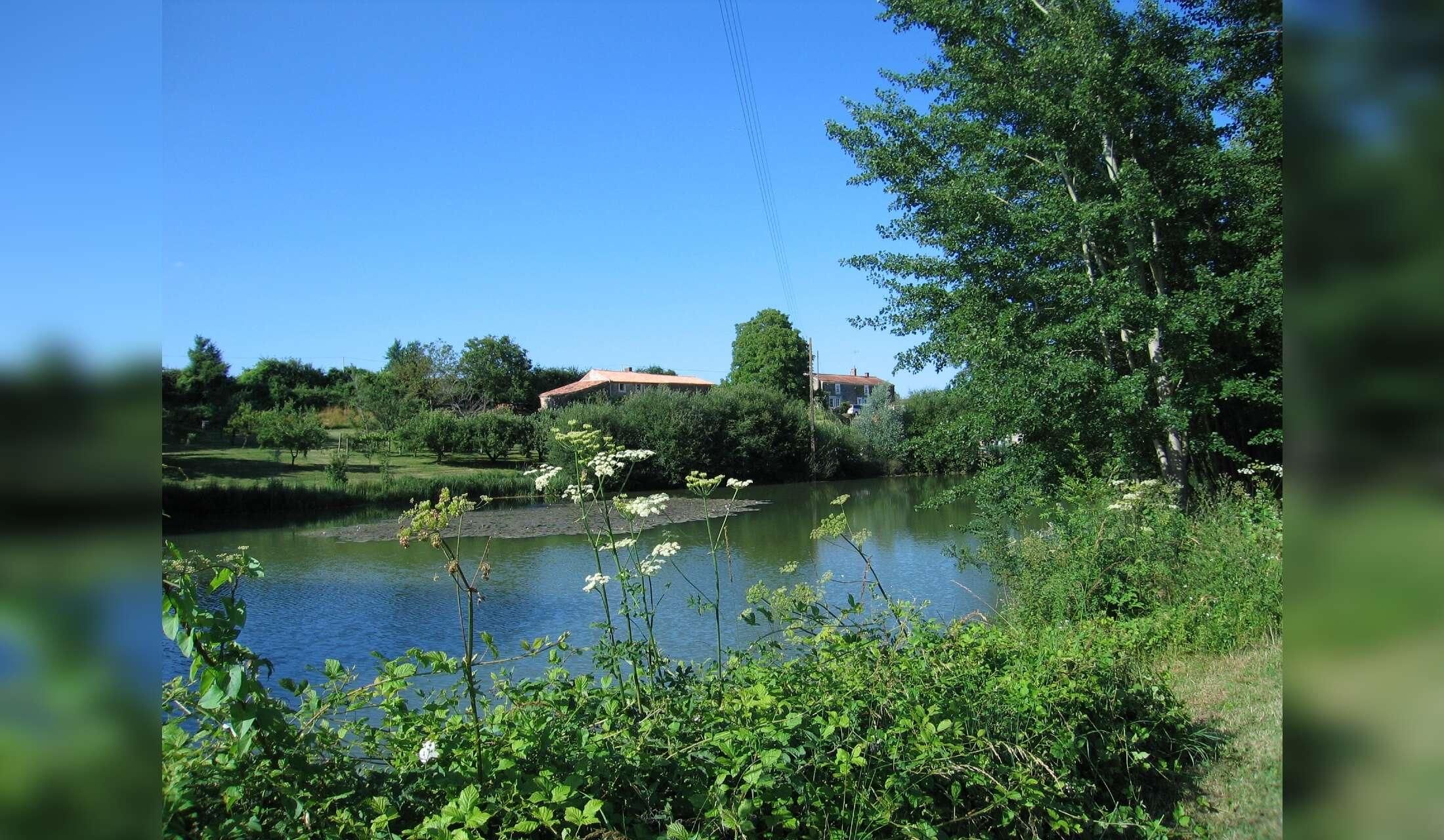 Lakeside Farmhouse in the Sunny Vendee