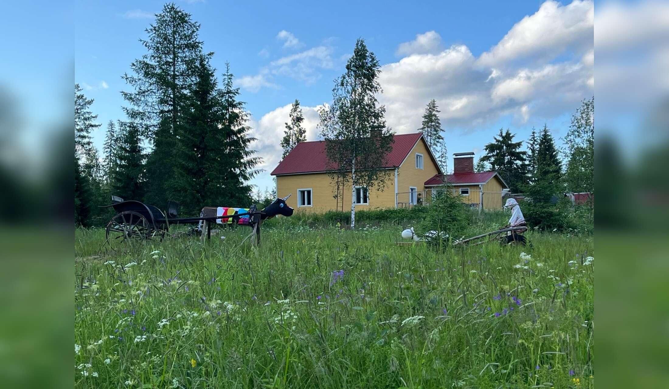 Dog sitter wanted in a little farm in middle of the forest