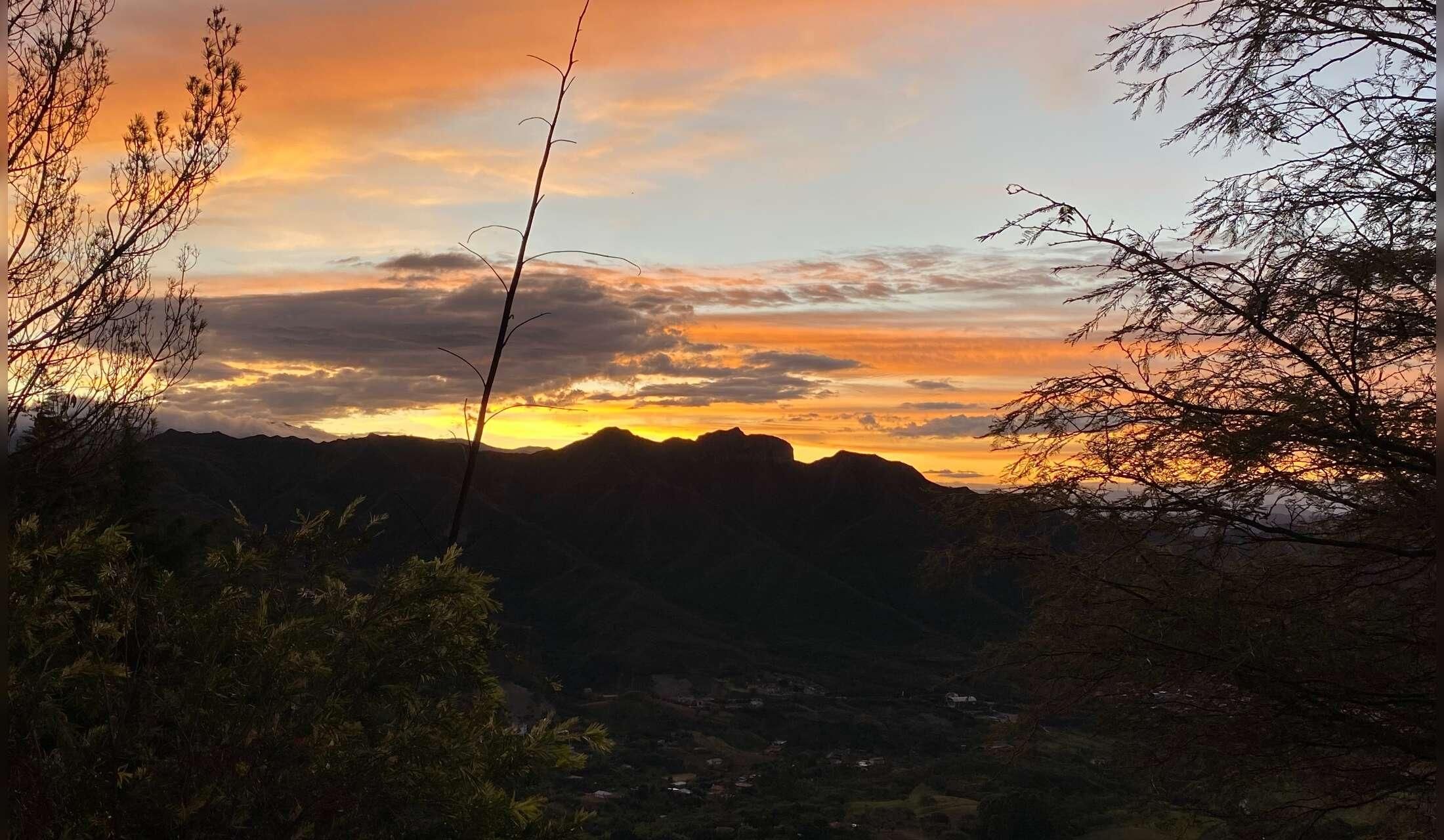 House/animal sitter in southern Ecuadorian Andes - Image 4