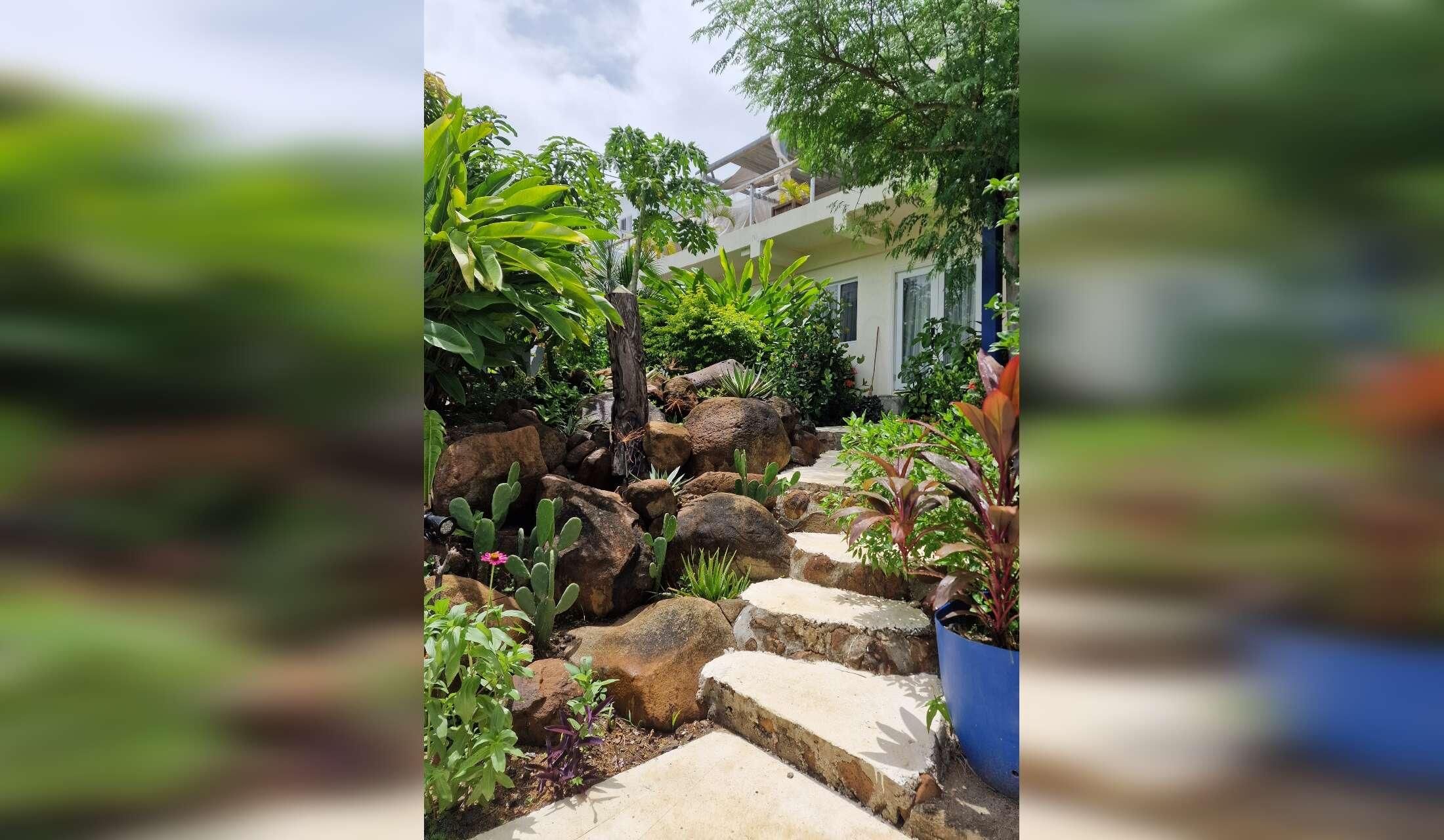 Tropical paradise with modern cons