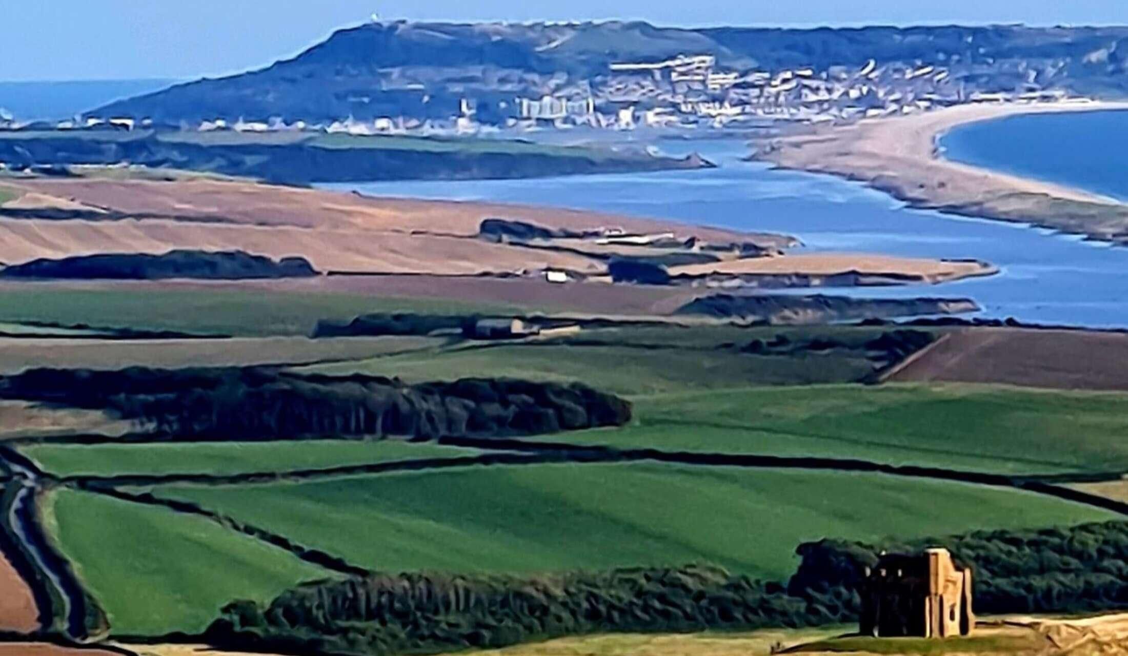 Dog lover for house sit in Dorset, UK - Image 8