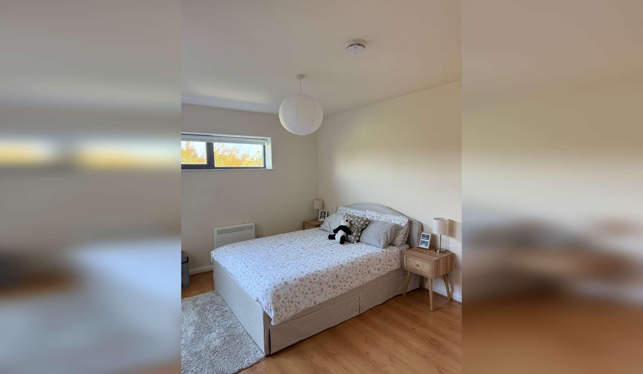 Cosy apartment in Fairview (D3) + 2 super friendly cats looking for a sitter - Image 2