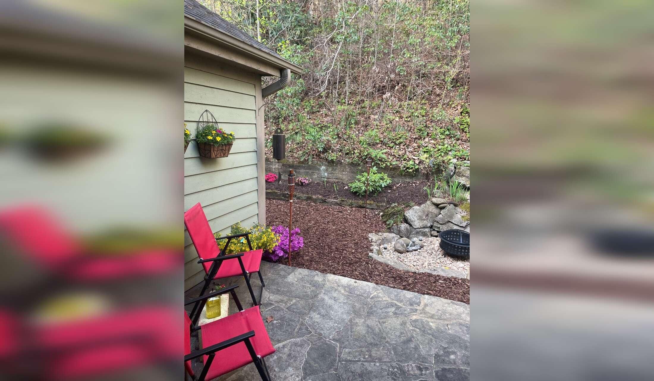 Beautiful Home, Cats, Plant Care - Image 3