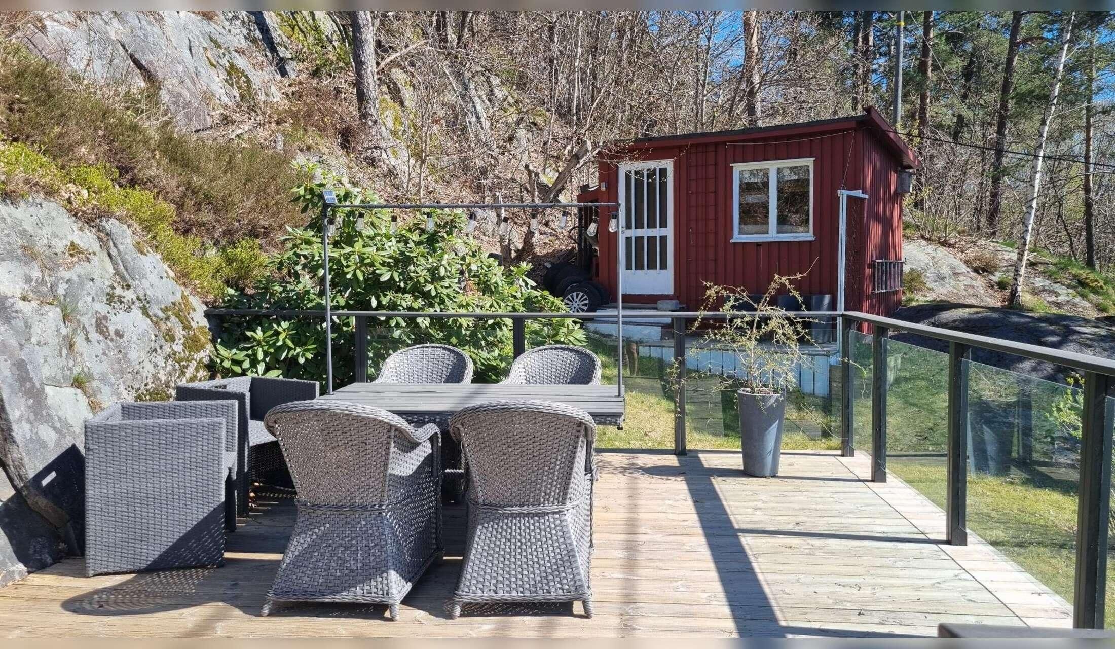 Hus og kattepasser i Arendal - Image 3