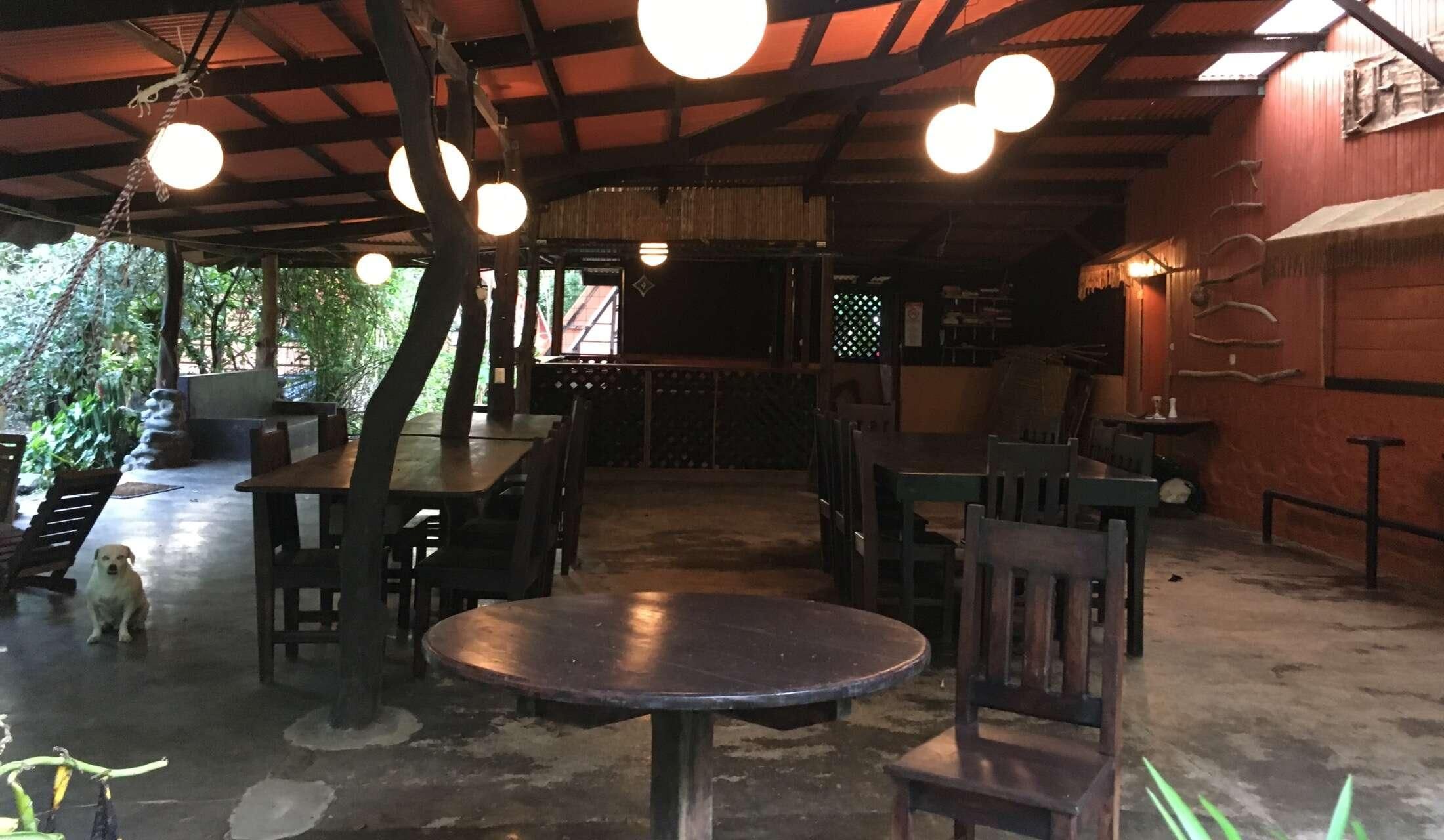 Looking for pet / house sitter for April 2027 in Costa Rica - Image 8