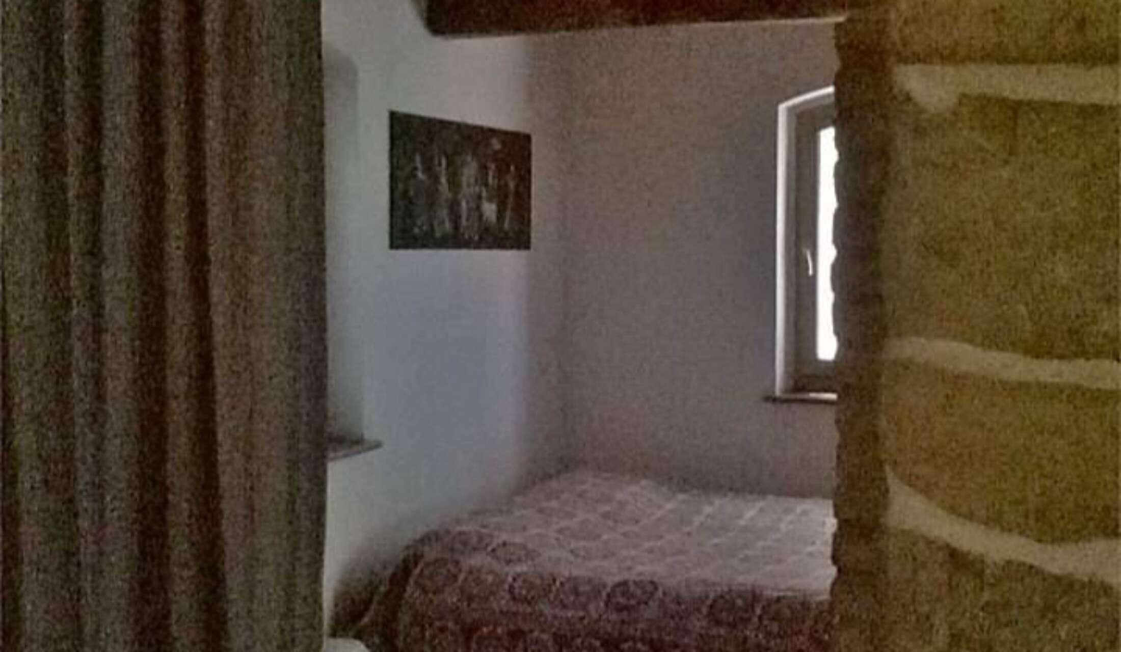 Cerco cat Sitter Casa di campagna in Toscana