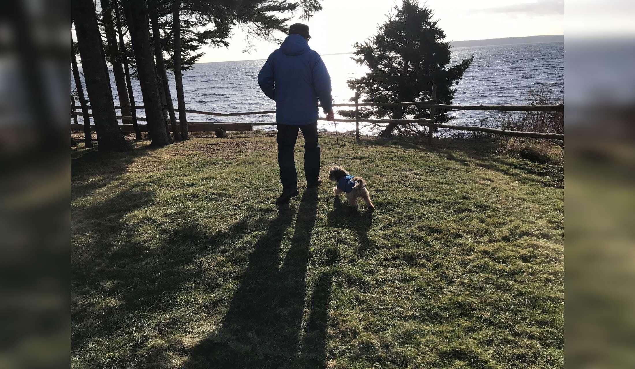 Looking for a Dog Sitter in a  Seaside Community for 2 weeks. (Dates are flexible) - Image 6