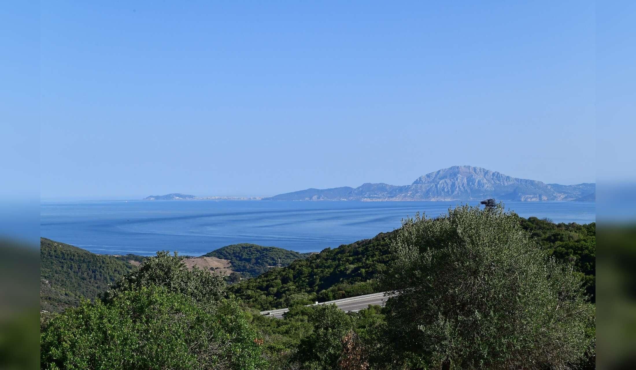 Dog & three cats – rural house sit near Tarifa, long stay for nature lovers - Image 3