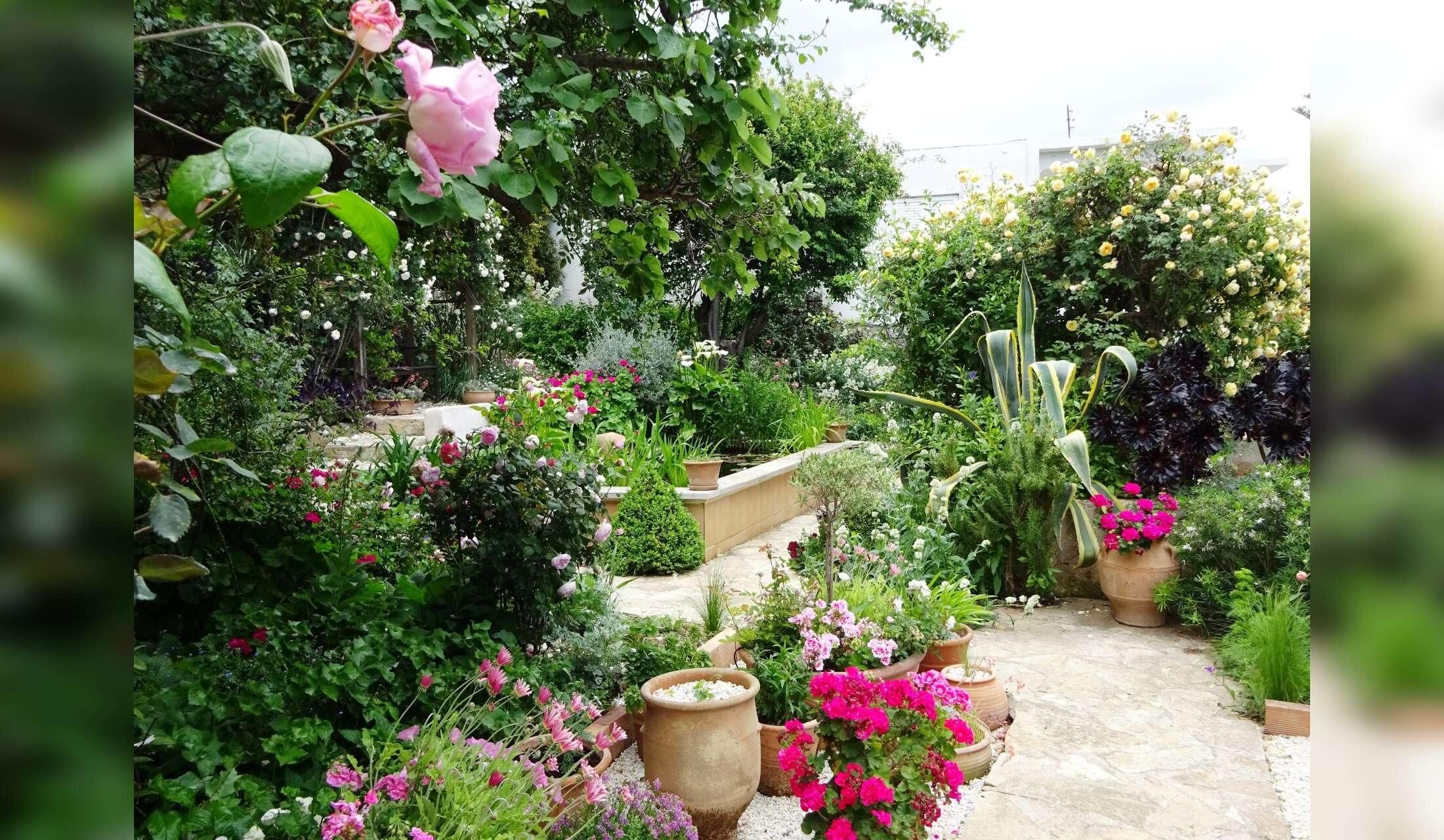 A tiny village house in North Eastern Crete with 2 cats and a garden with fish in a lily pond - Image 6