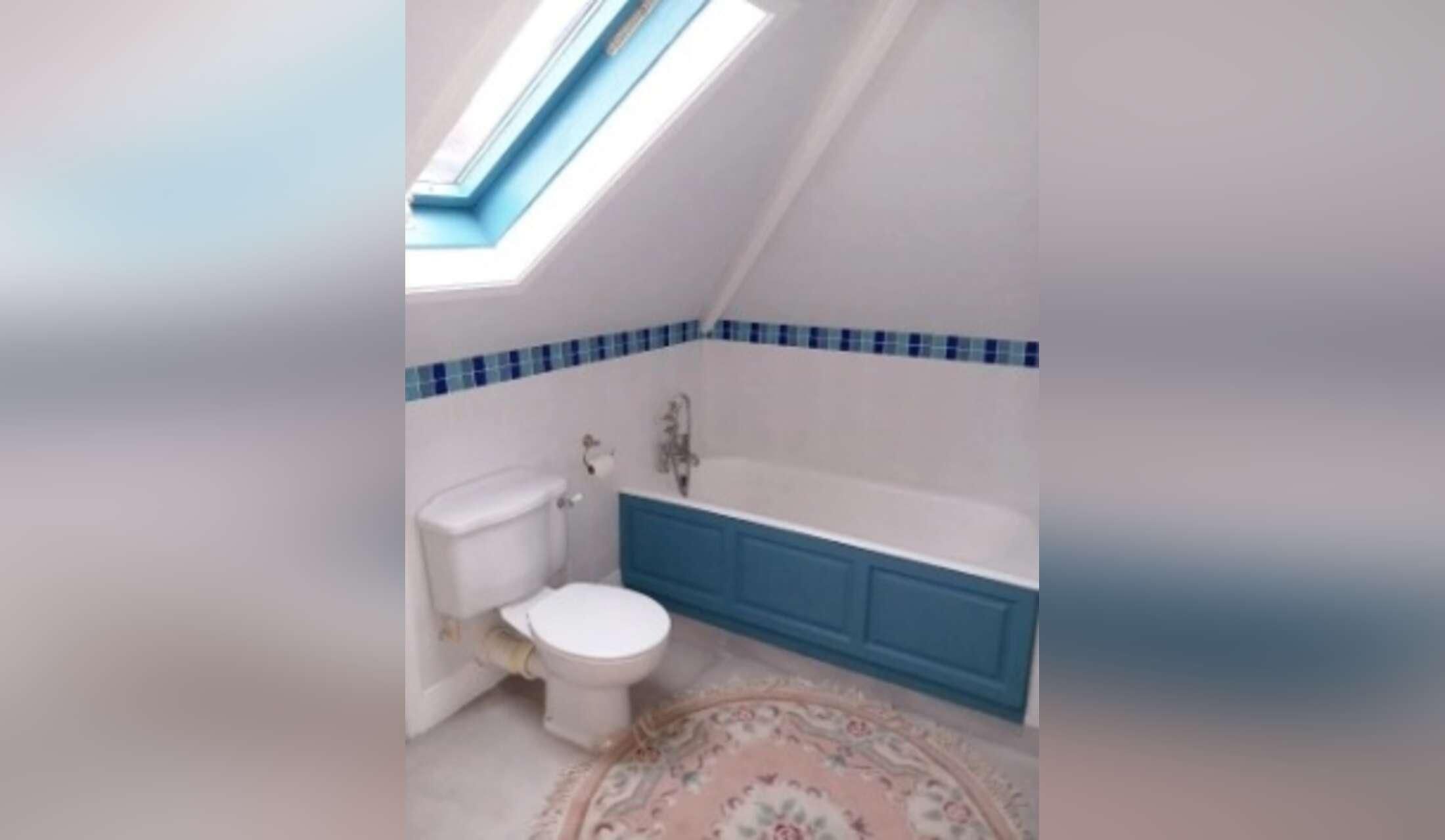 Nice house-sit in TW11 with good airy place and nice mini Labradoodle - Image 9