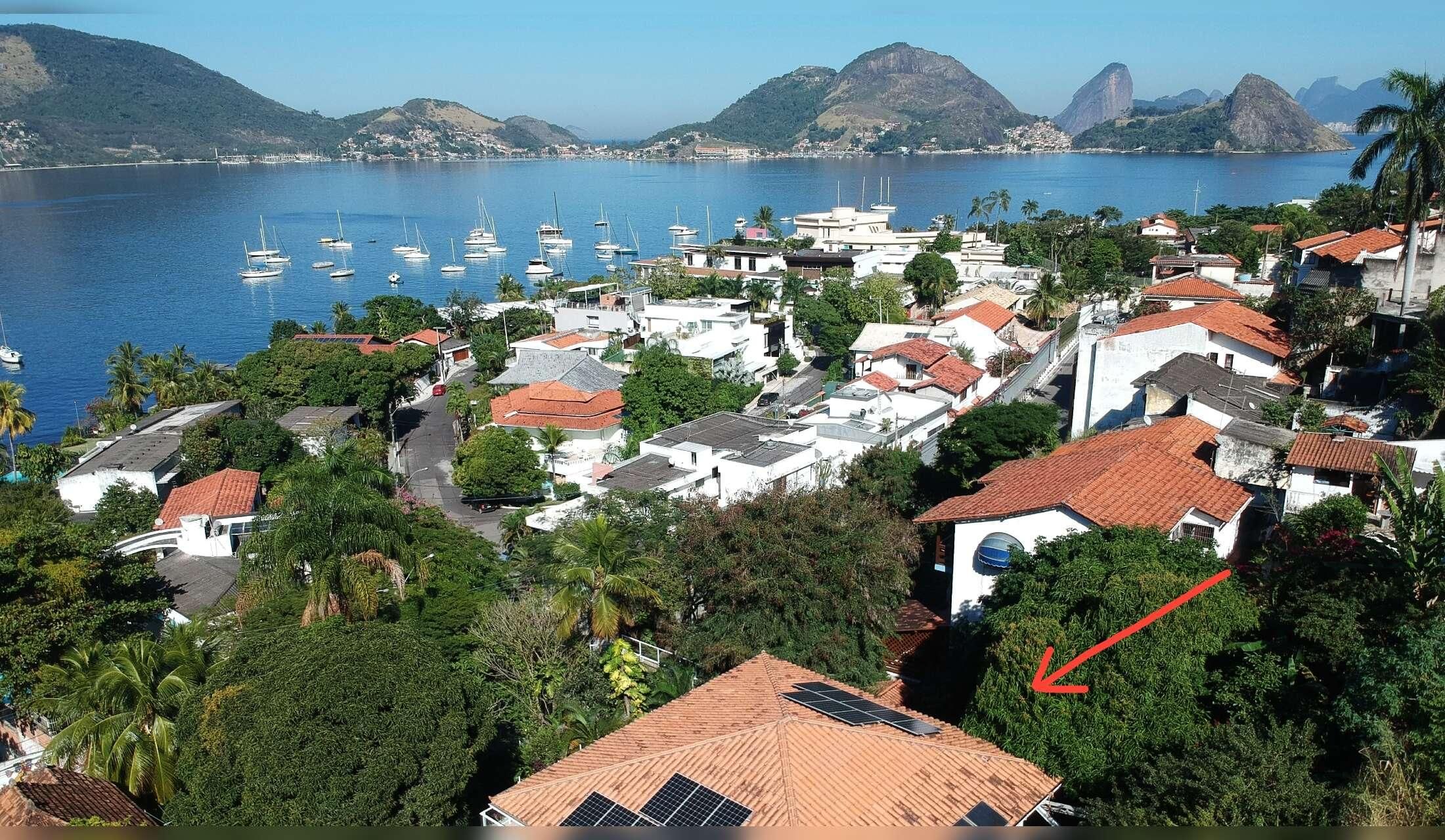 House and Dog Sitting in Rio de Janeiro, Brazil - Xmas and New Year 2026 - Image 3