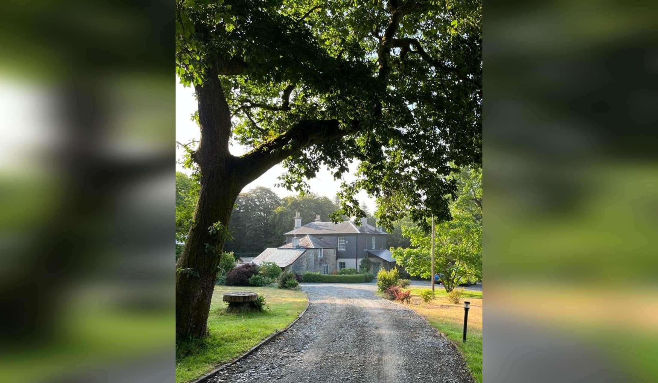 Looking for a housesitter - Image 2