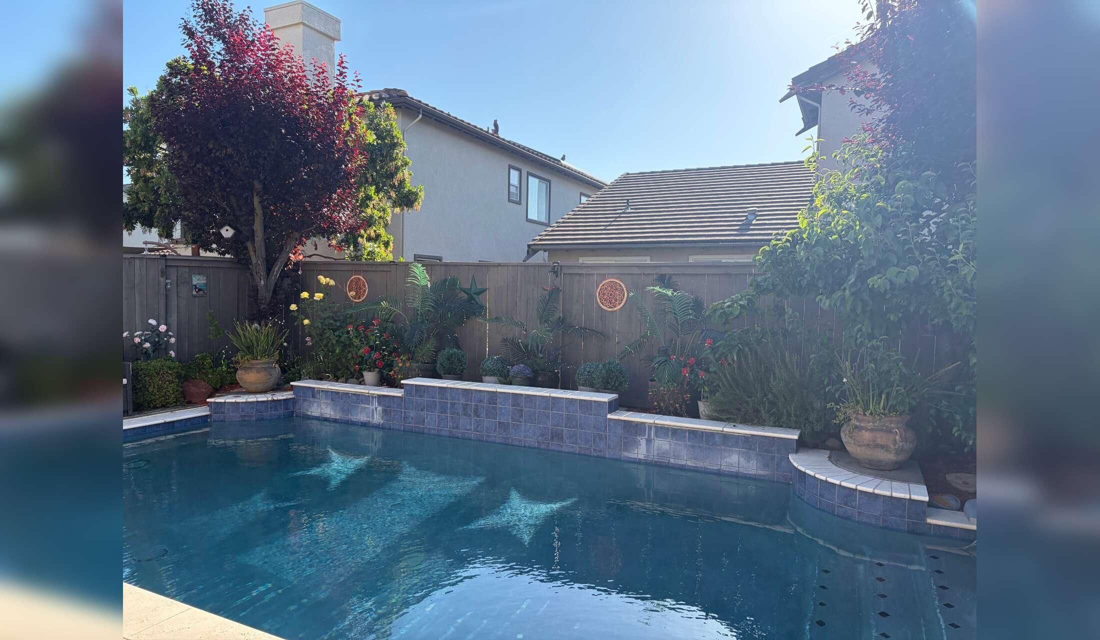 Short Local House sit -Sacramento Area -October - Image 3