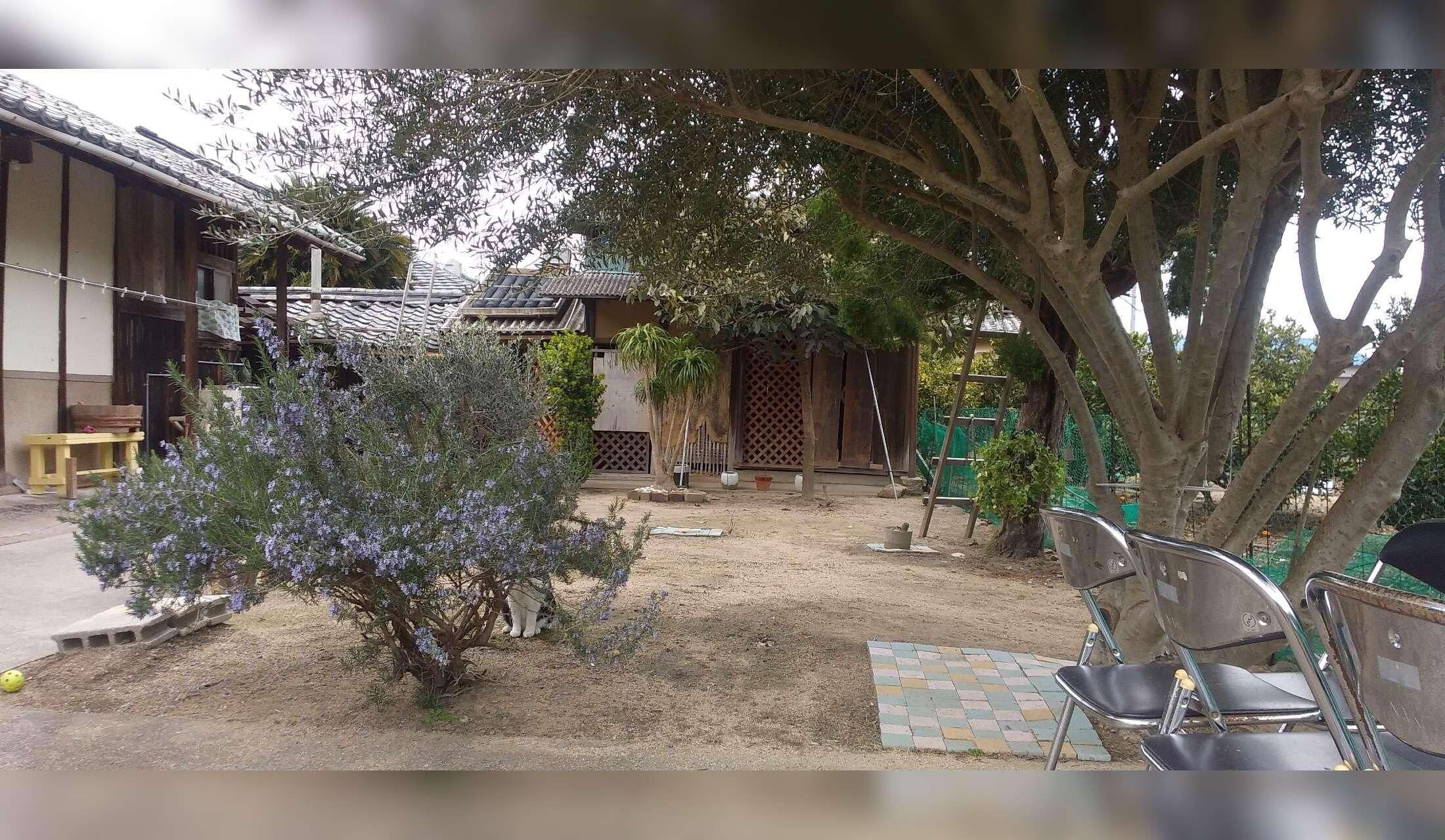 Will be in need of a sitter for 3 to 6 months starting July - Image 2