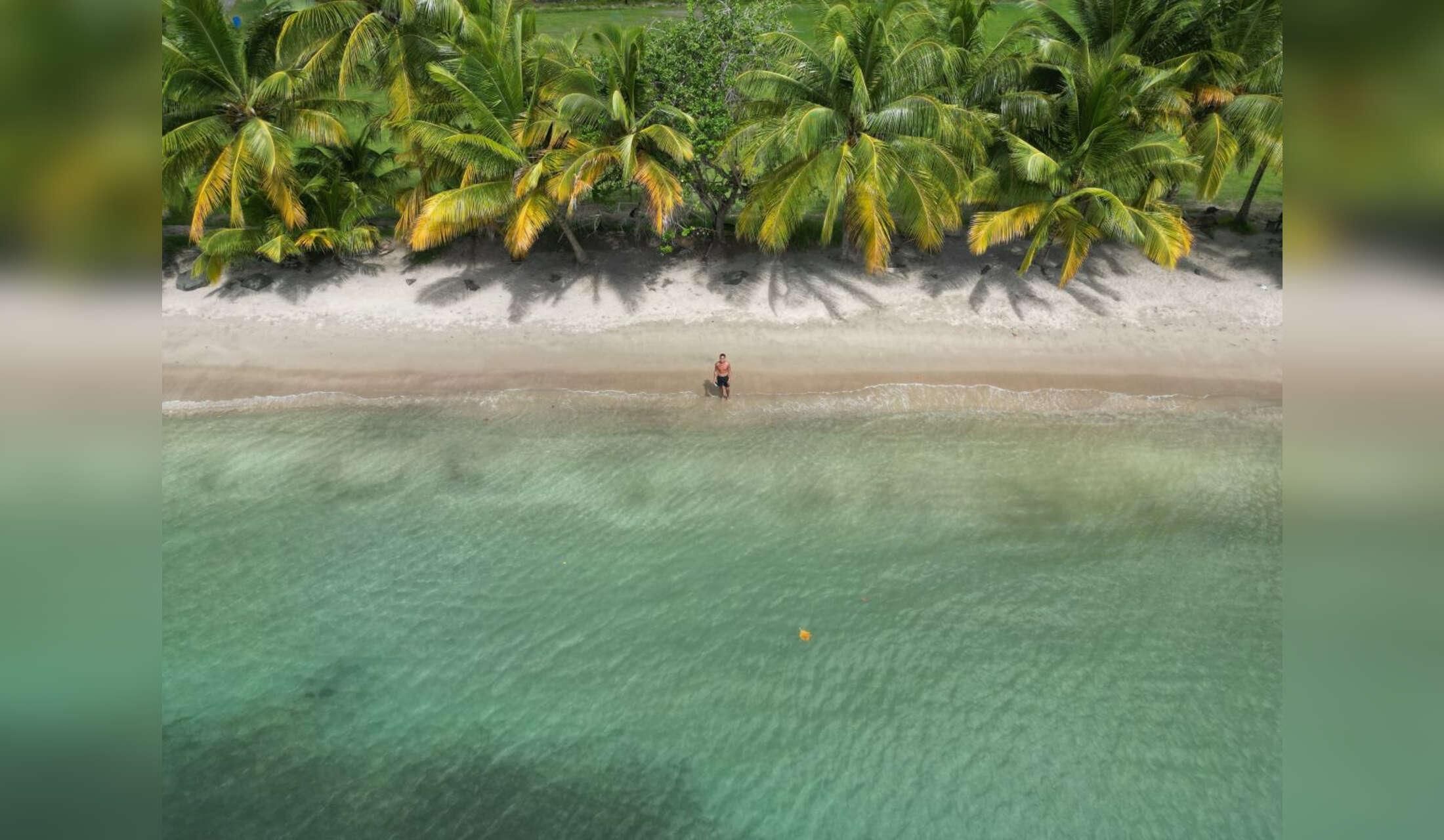 Cybernomad or retiree house-sitter wanted - 2 hours/ day for free accommodation in a beautiful Caribbean home close to sea in SAINT LUCIA - Image 5