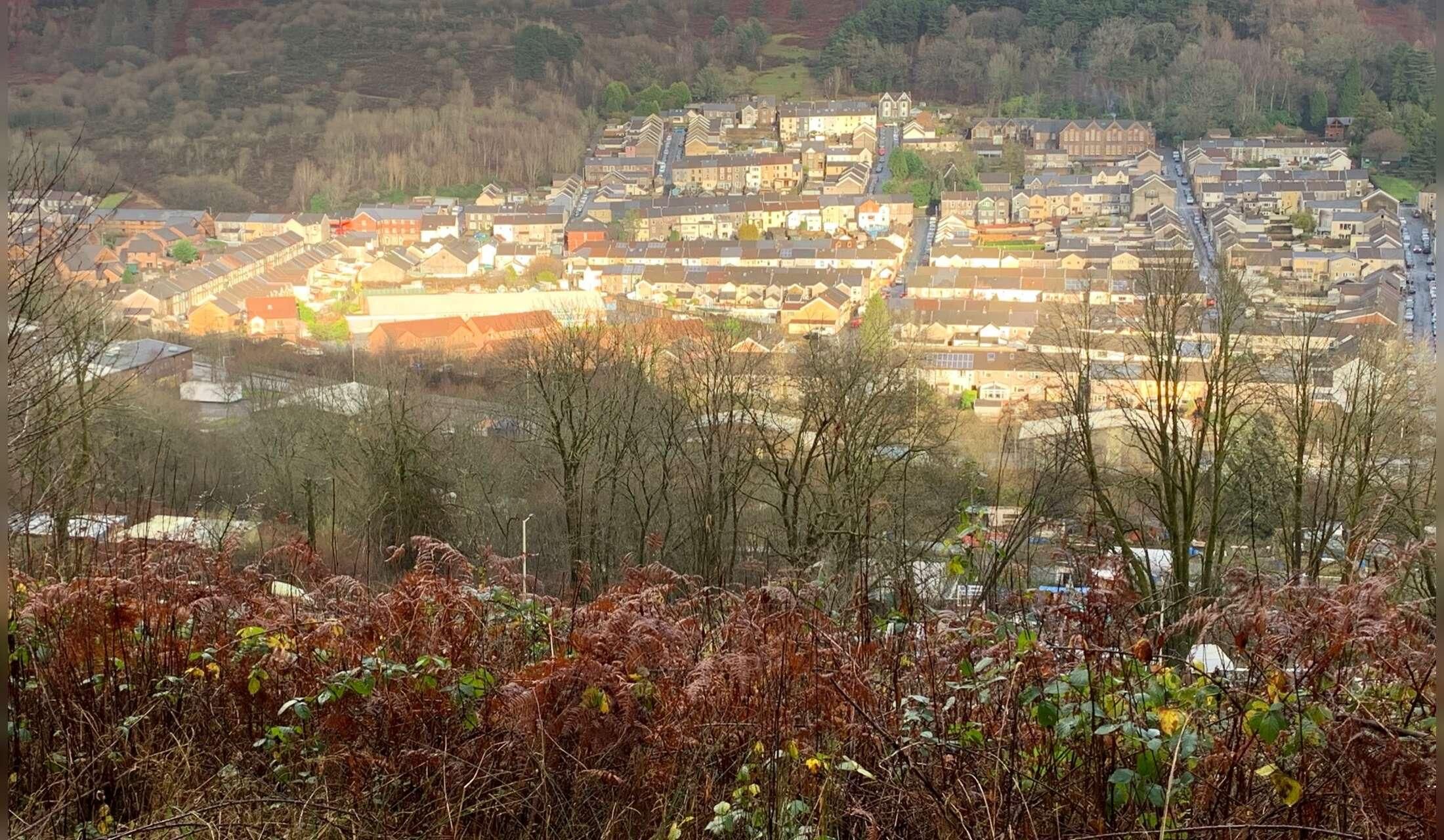 Come visit the scenic Welsh Valleys and stay in a warm and comfortable house with 3 gorgeous puddy cats - Image 3