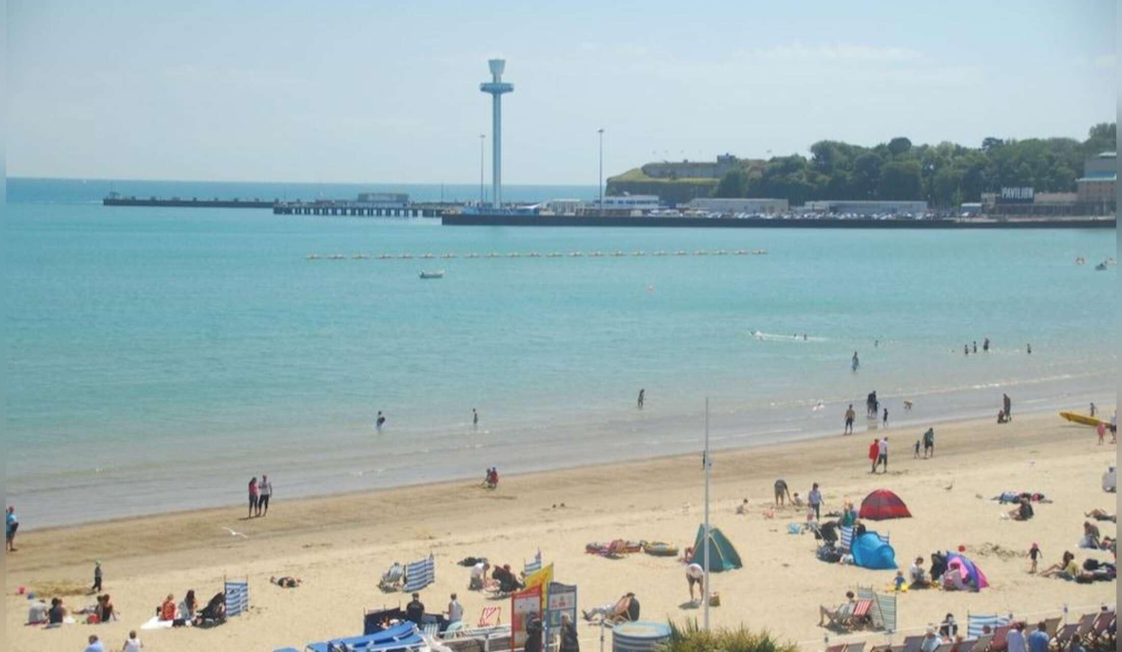 Sitter needed  for looking after 1 soppy cat, April 10-17,in the seaside town of Weymouth - Image 2