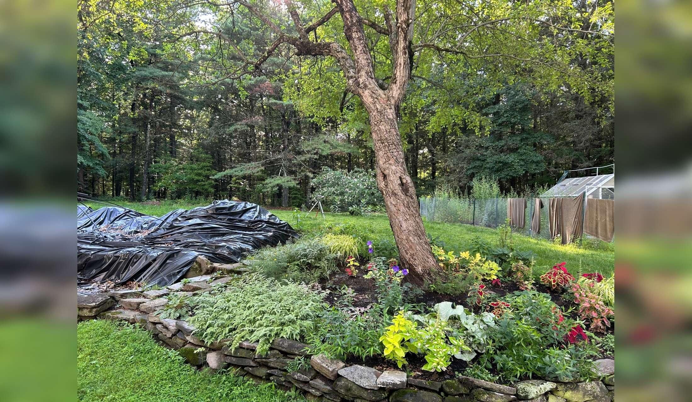 Home in Connecticut - Image 3