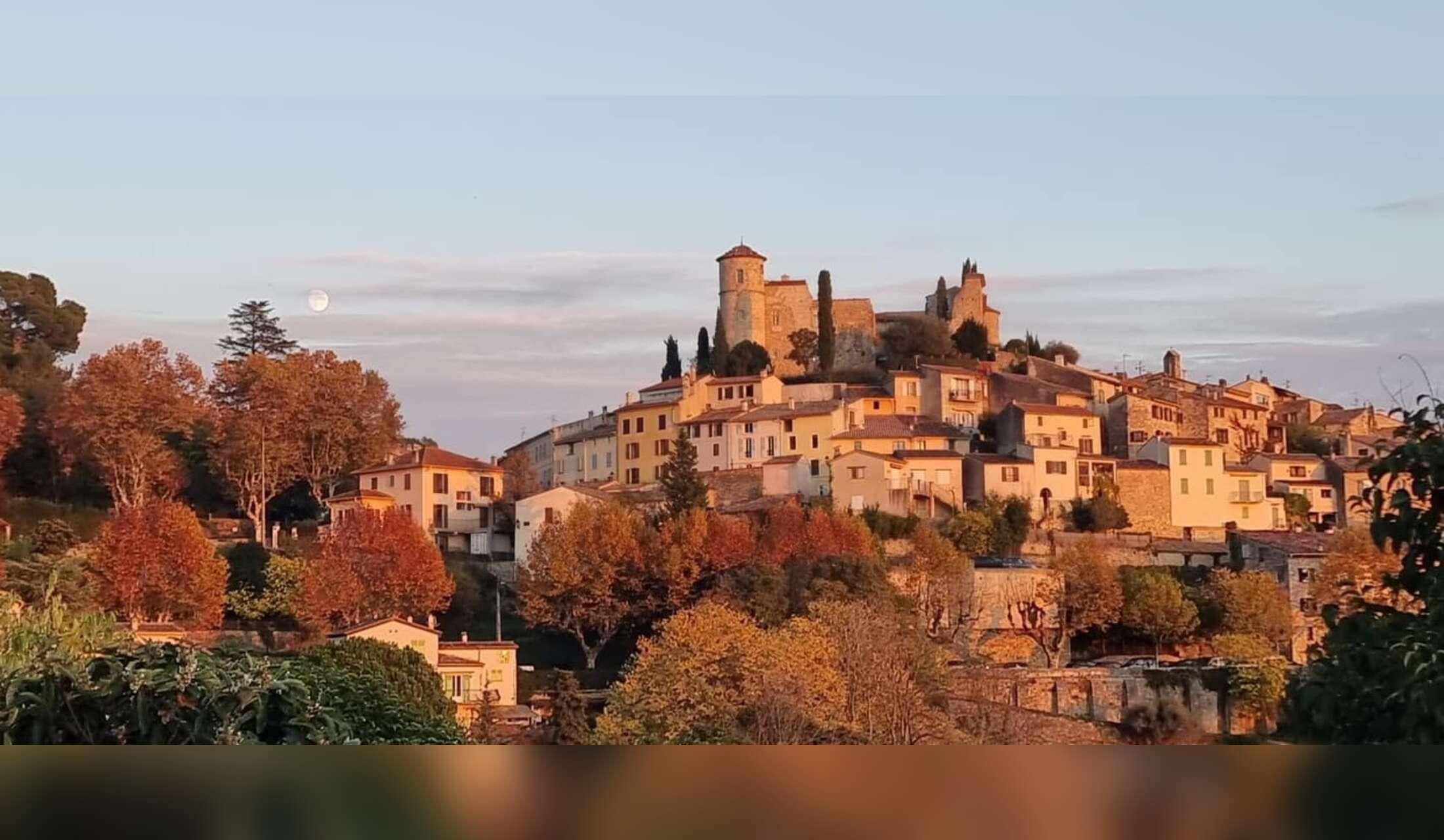 Big Furry Family in a quiet countryside in SE France