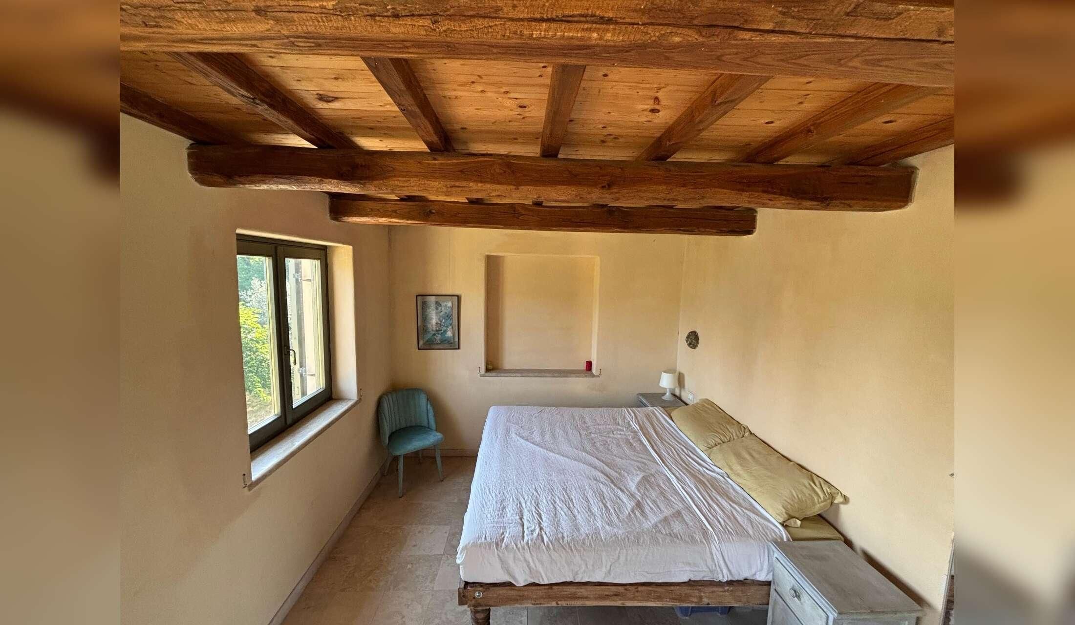 Villa in olive grove near Rome - Image 3