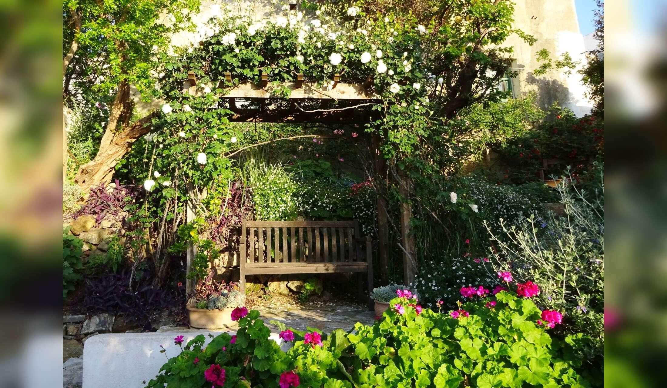 A tiny village house in North Eastern Crete with 2 cats and a garden with fish in a lily pond - Image 5