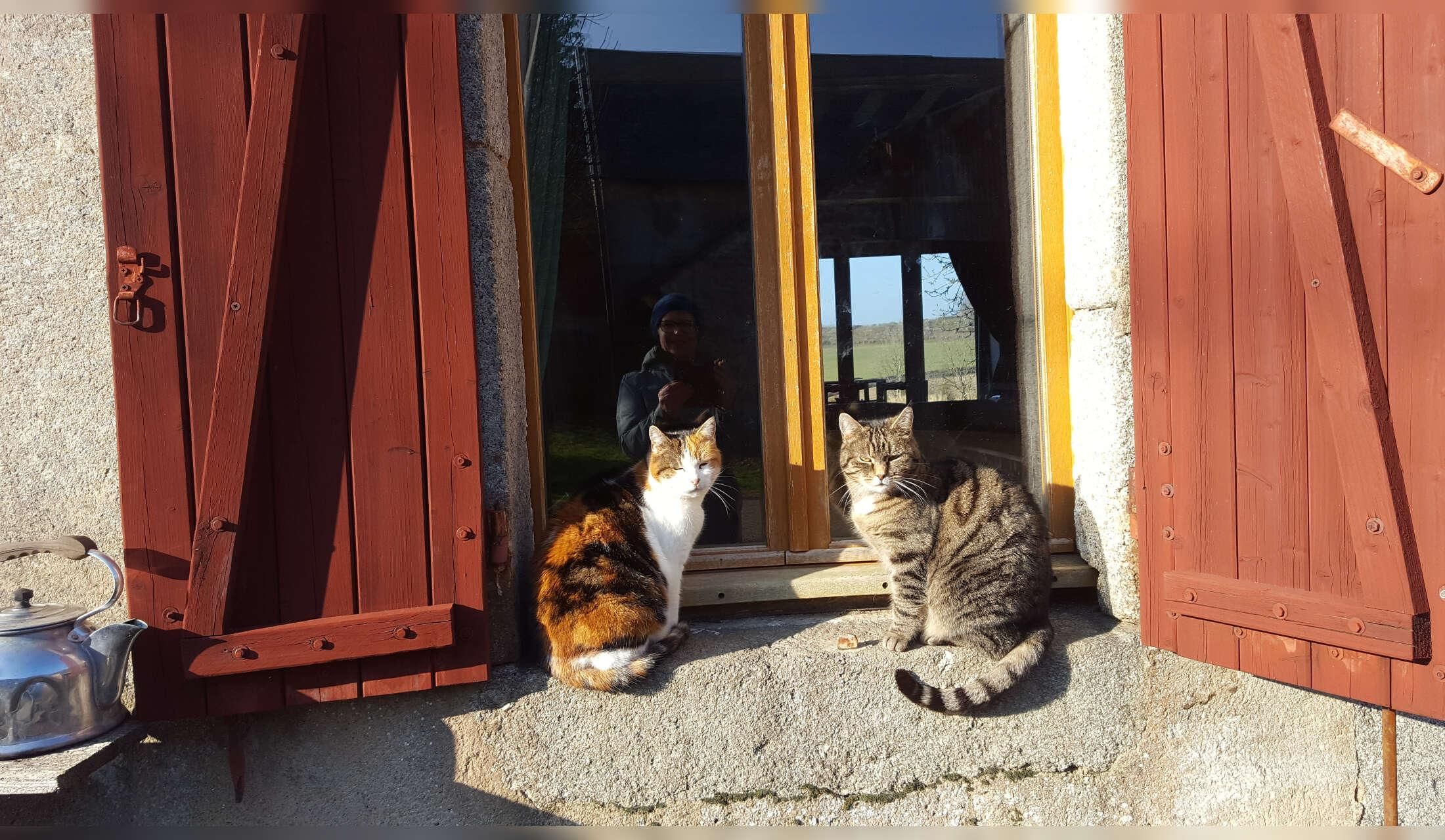Spend three months in the Burgundy countryside - Image 5