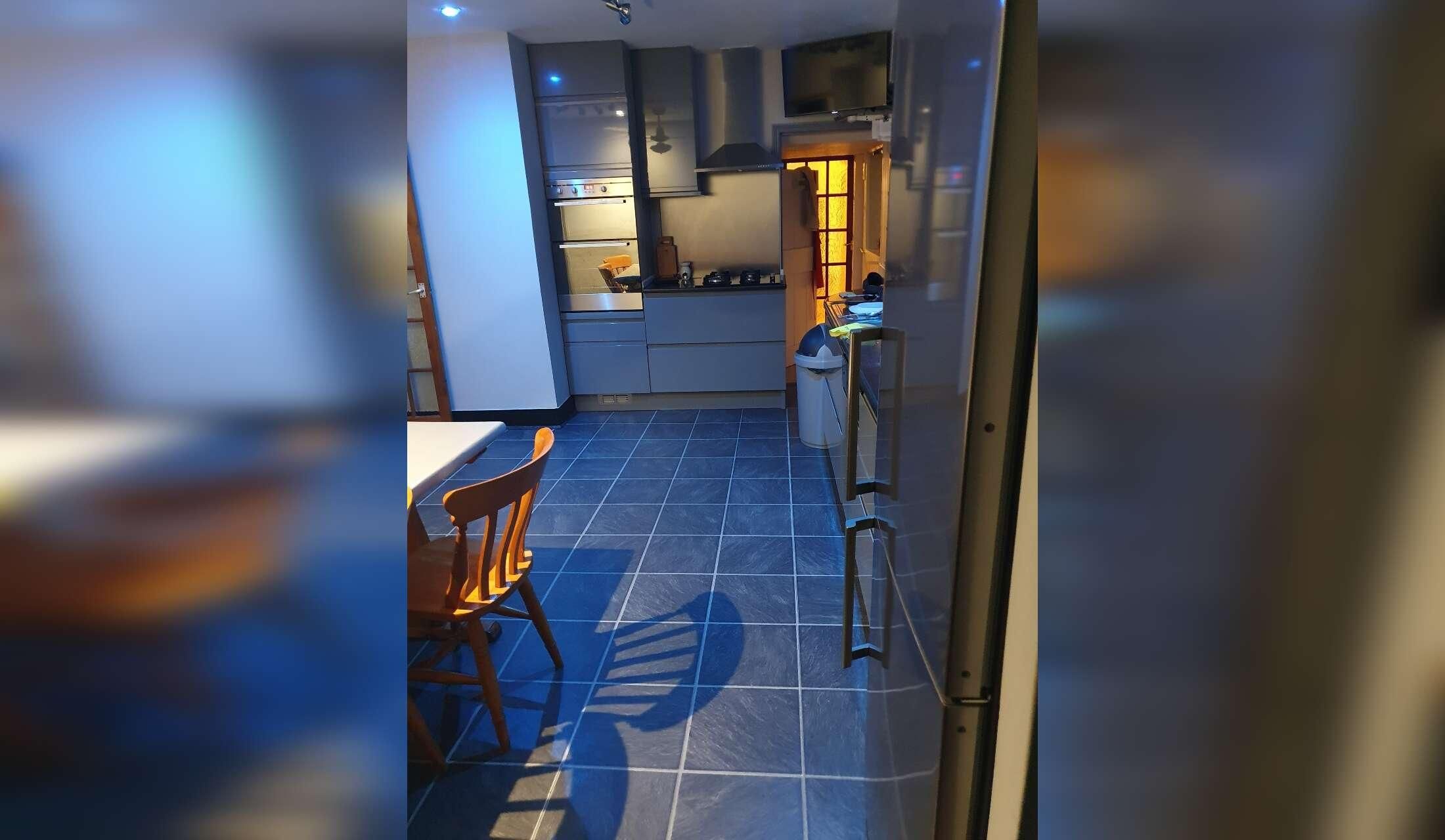Cat/House sit by the sea in Kent UK - Image 2