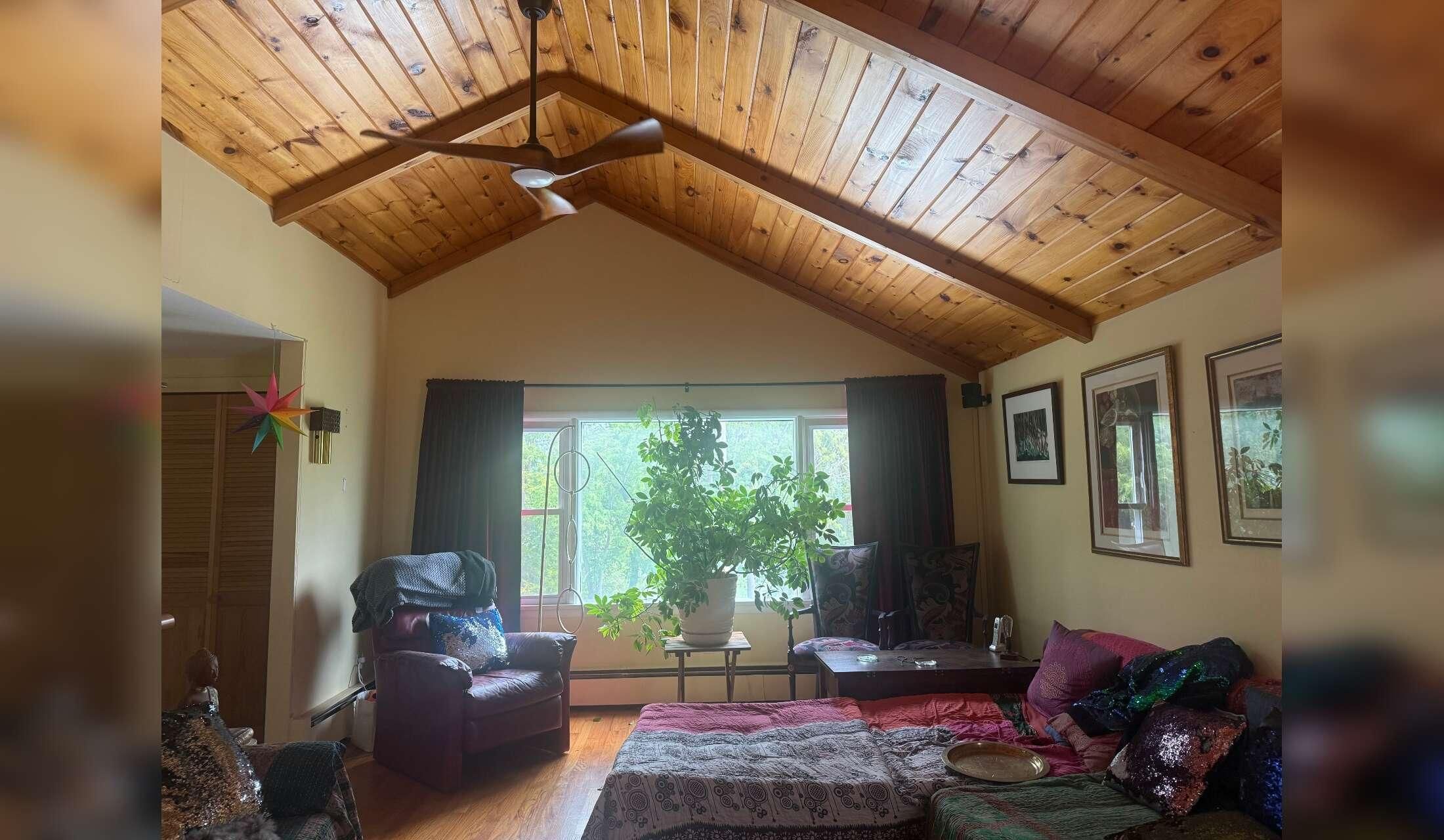 Make the Berkshires Home — Beautiful House Sit January–July - Image 2