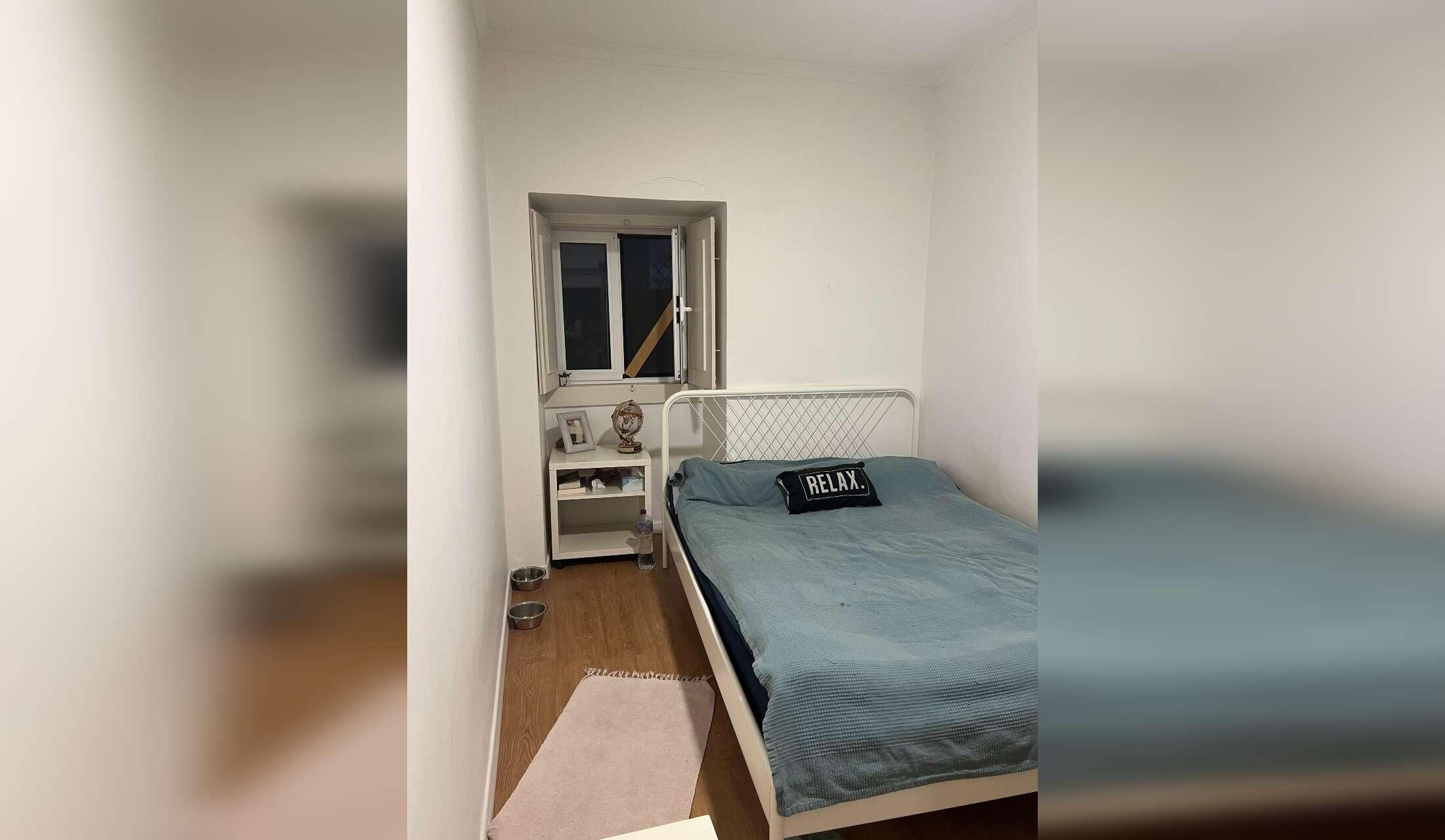 Cozy Lisbon Apartment + Loving Cat – Sitter Needed (August-October) - Image 3